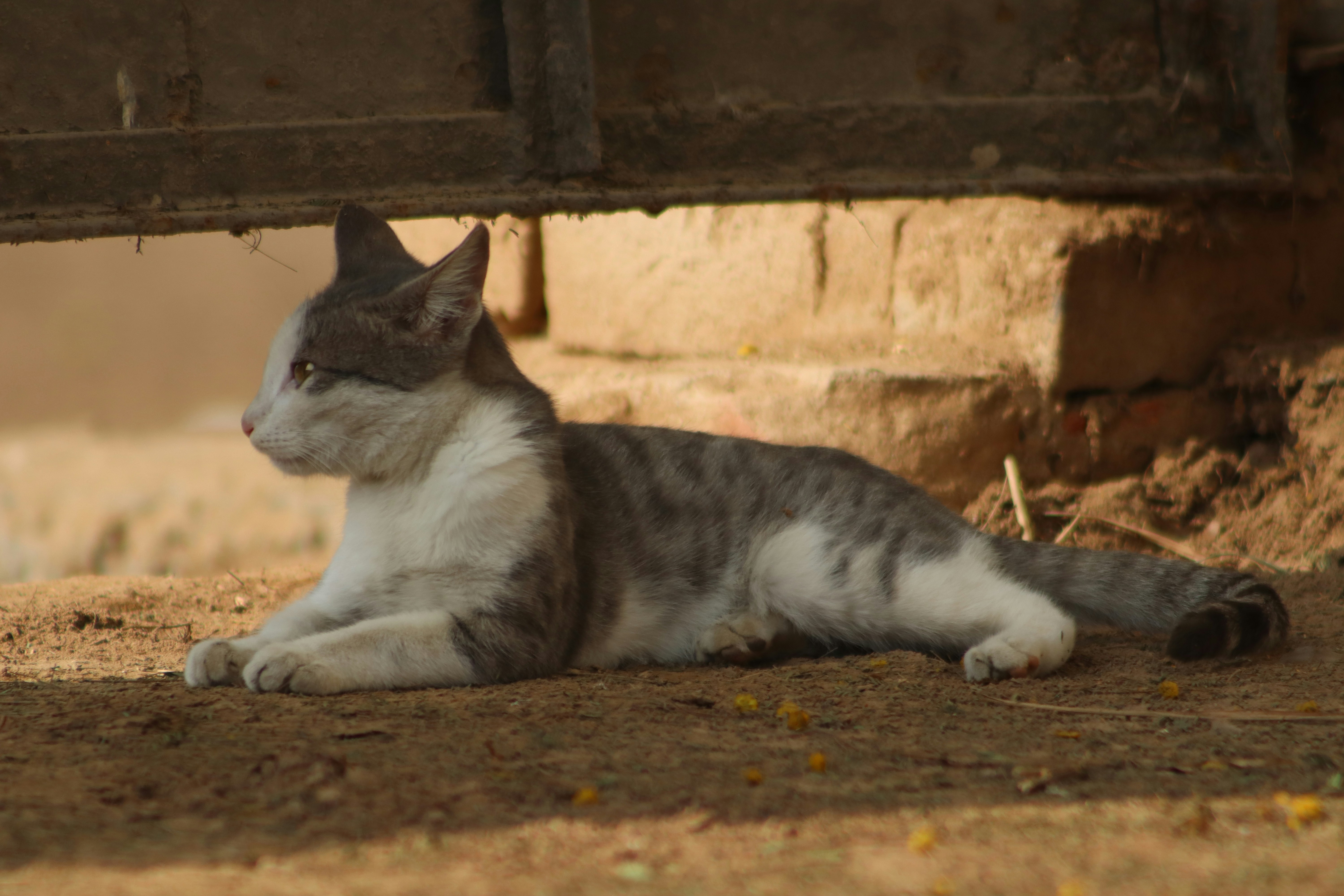 Photo by drphotographer152