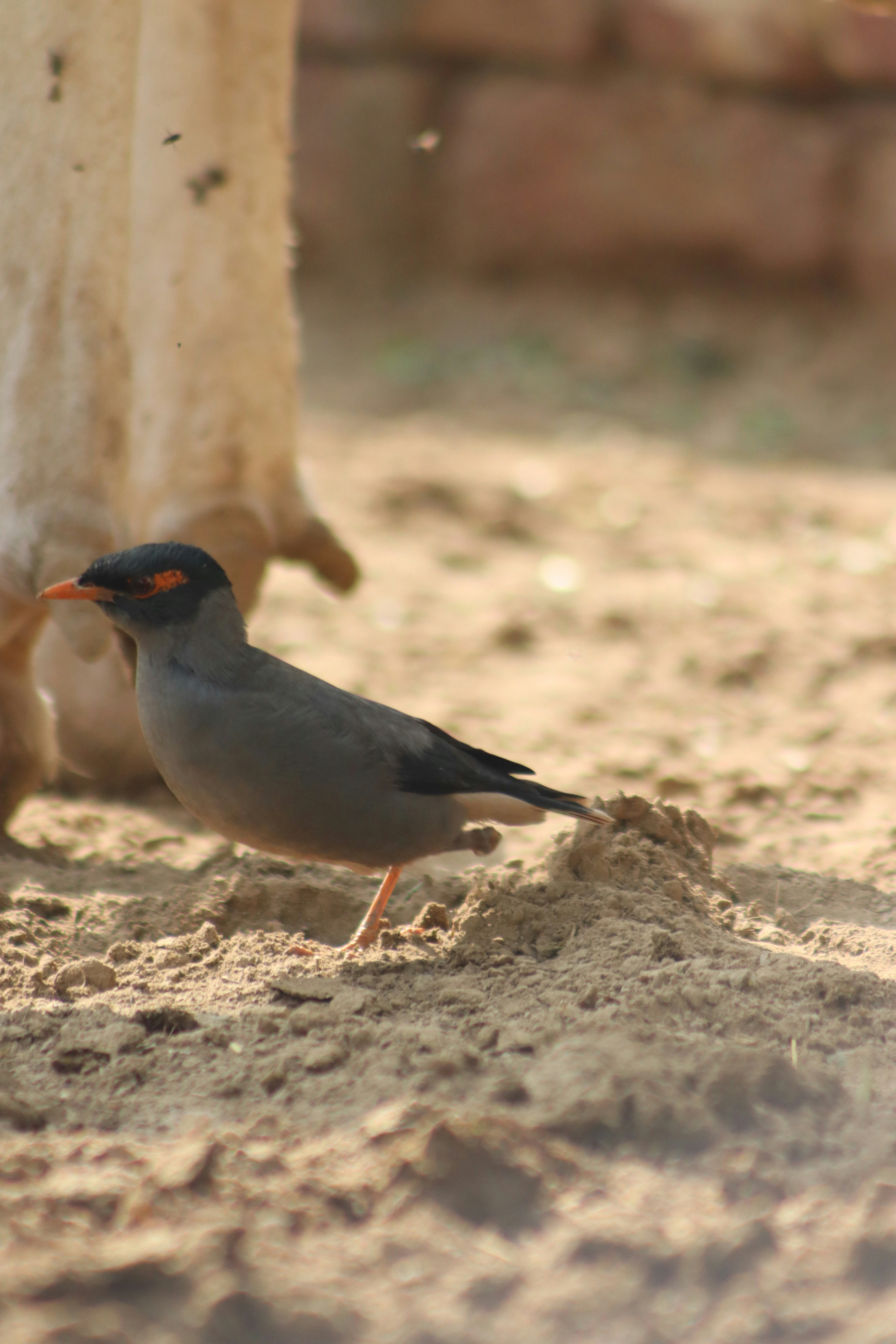 Photo by drphotographer152