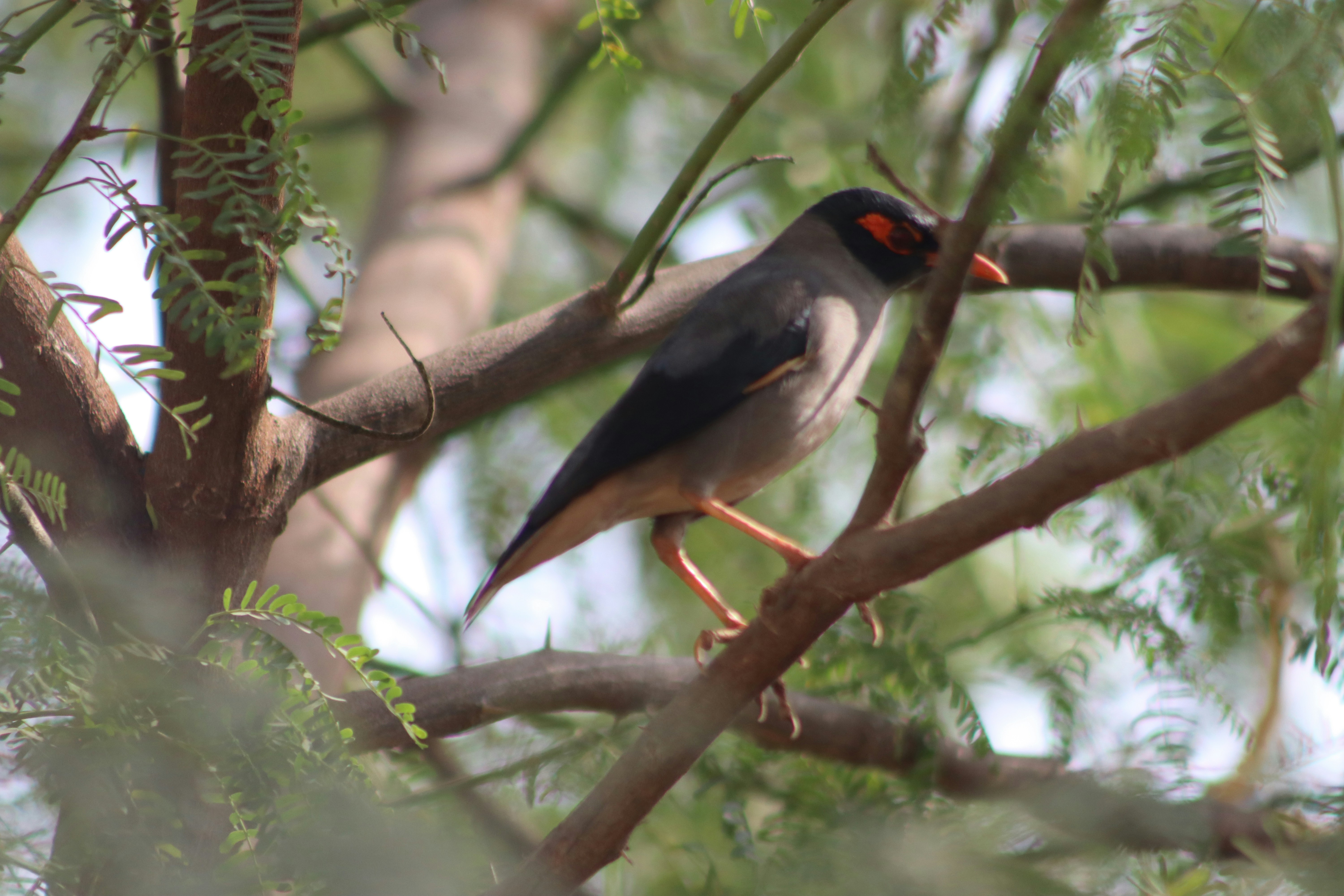 Photo by drphotographer152