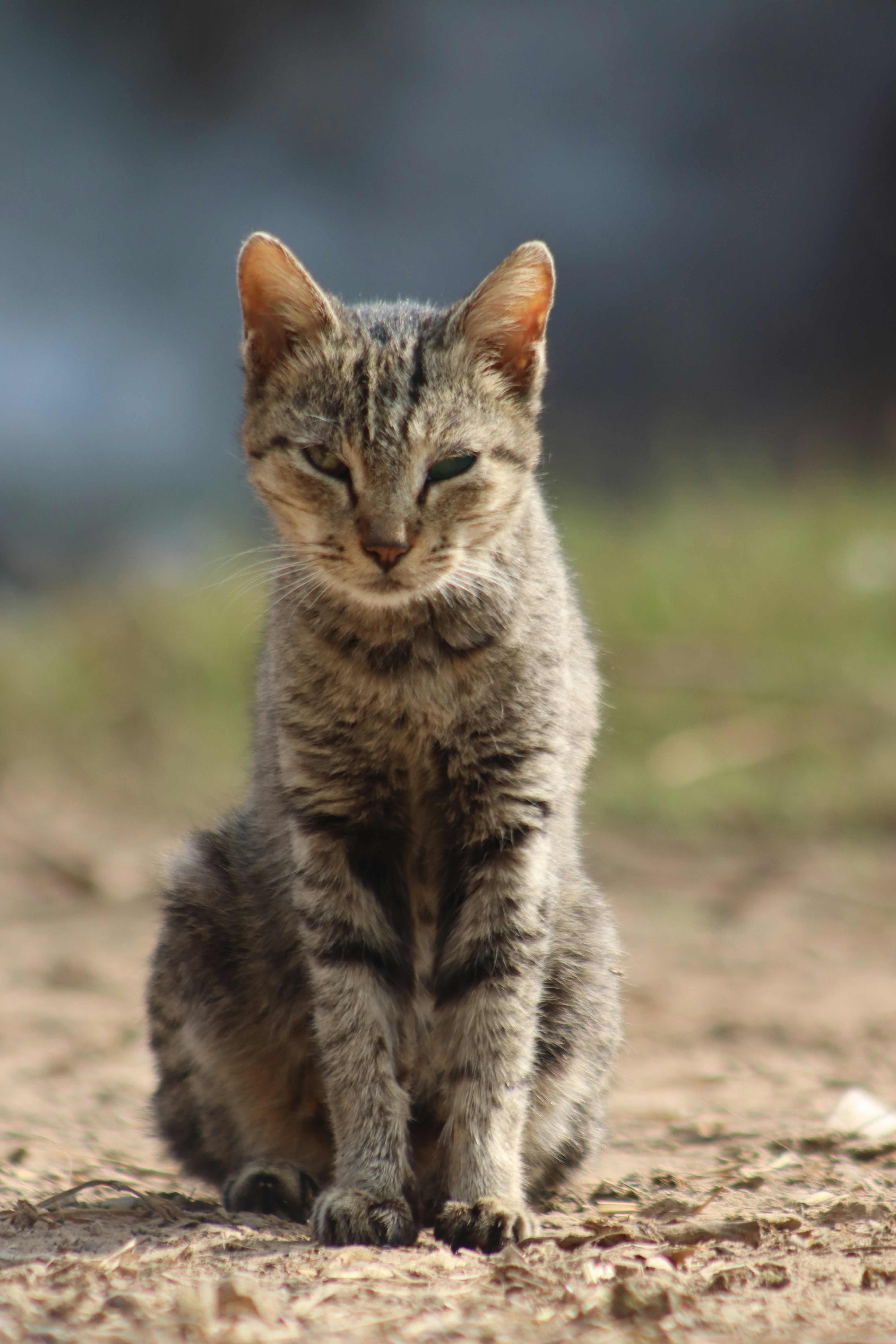 Photo by drphotographer152