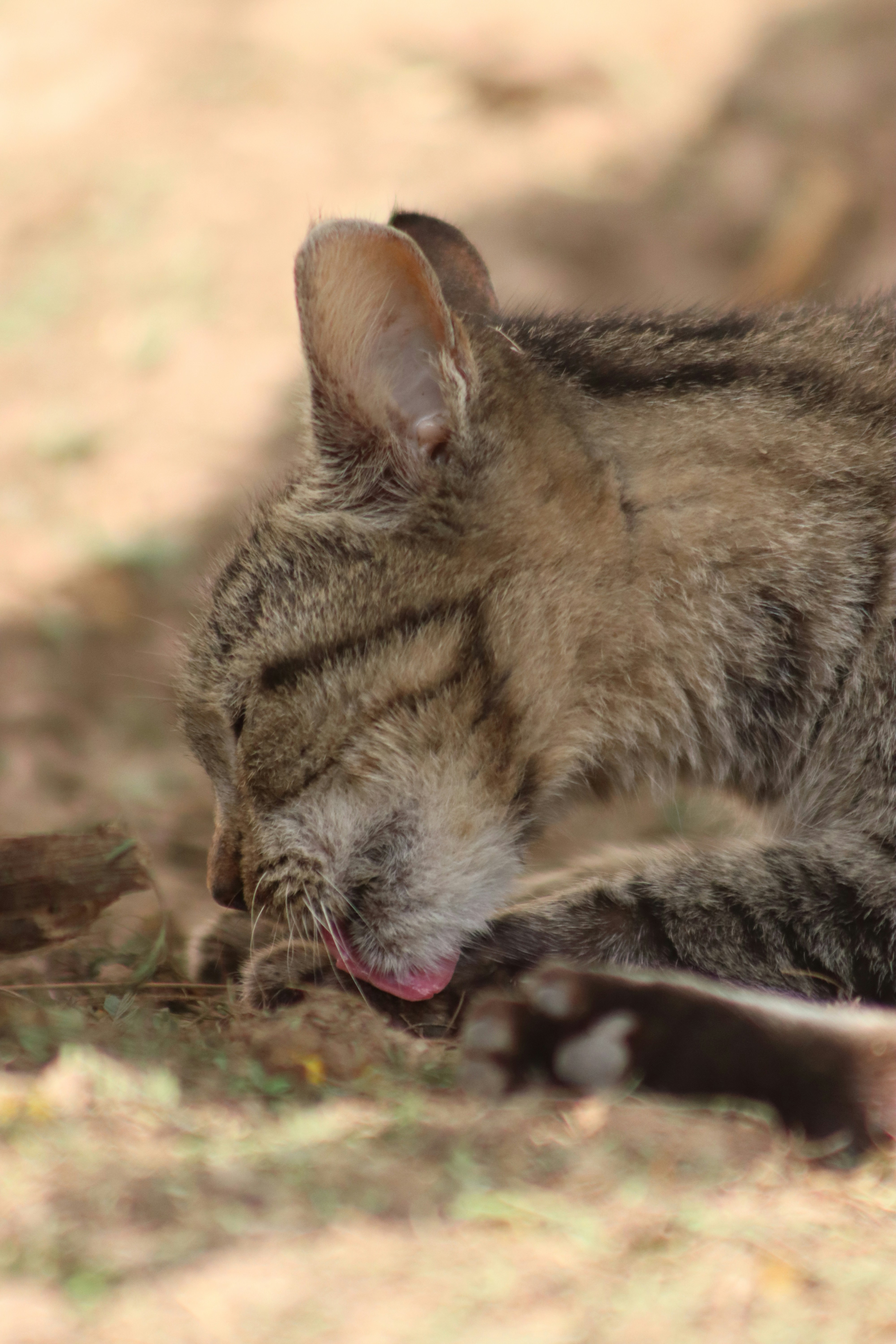 Photo by drphotographer152