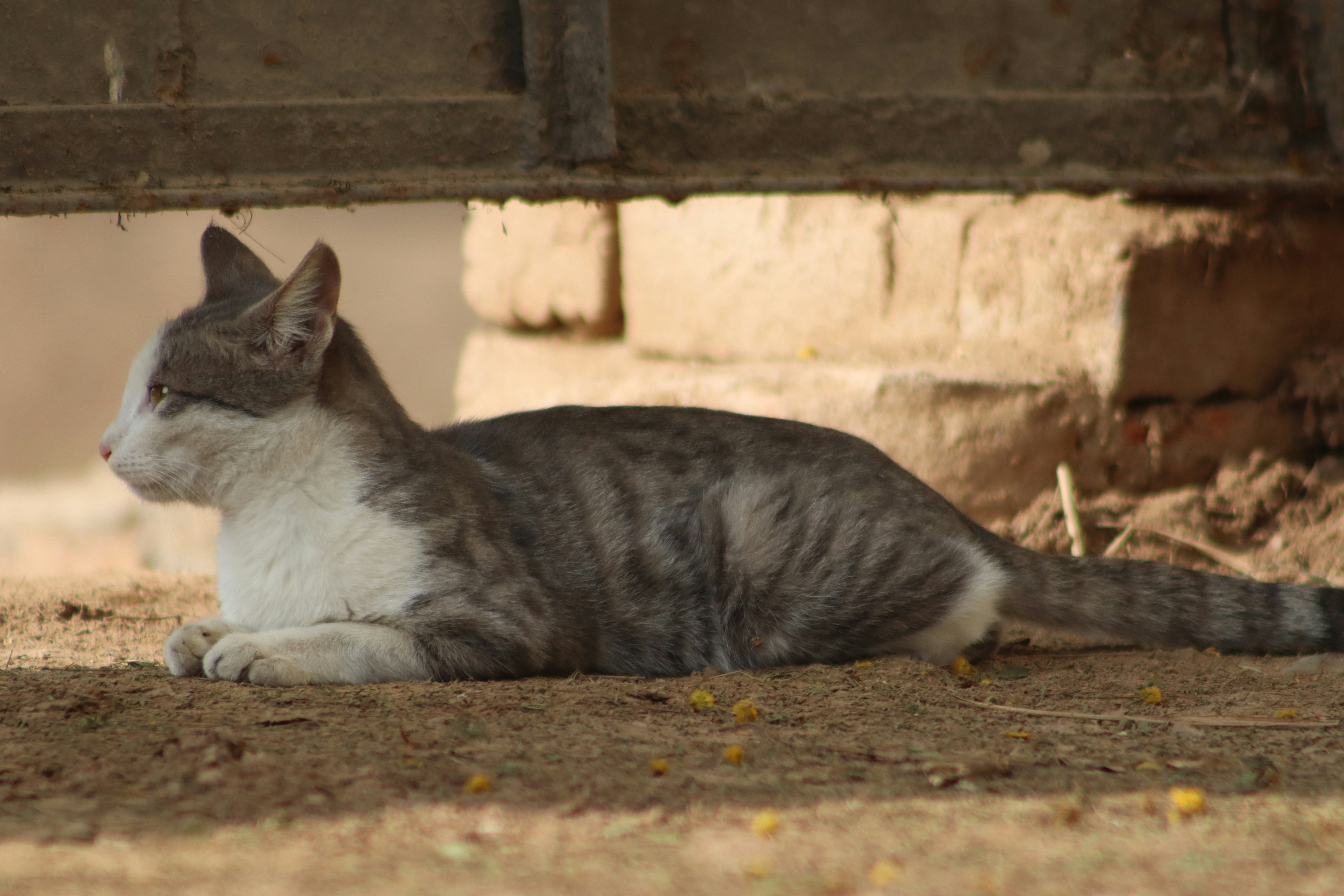 Photo by drphotographer152