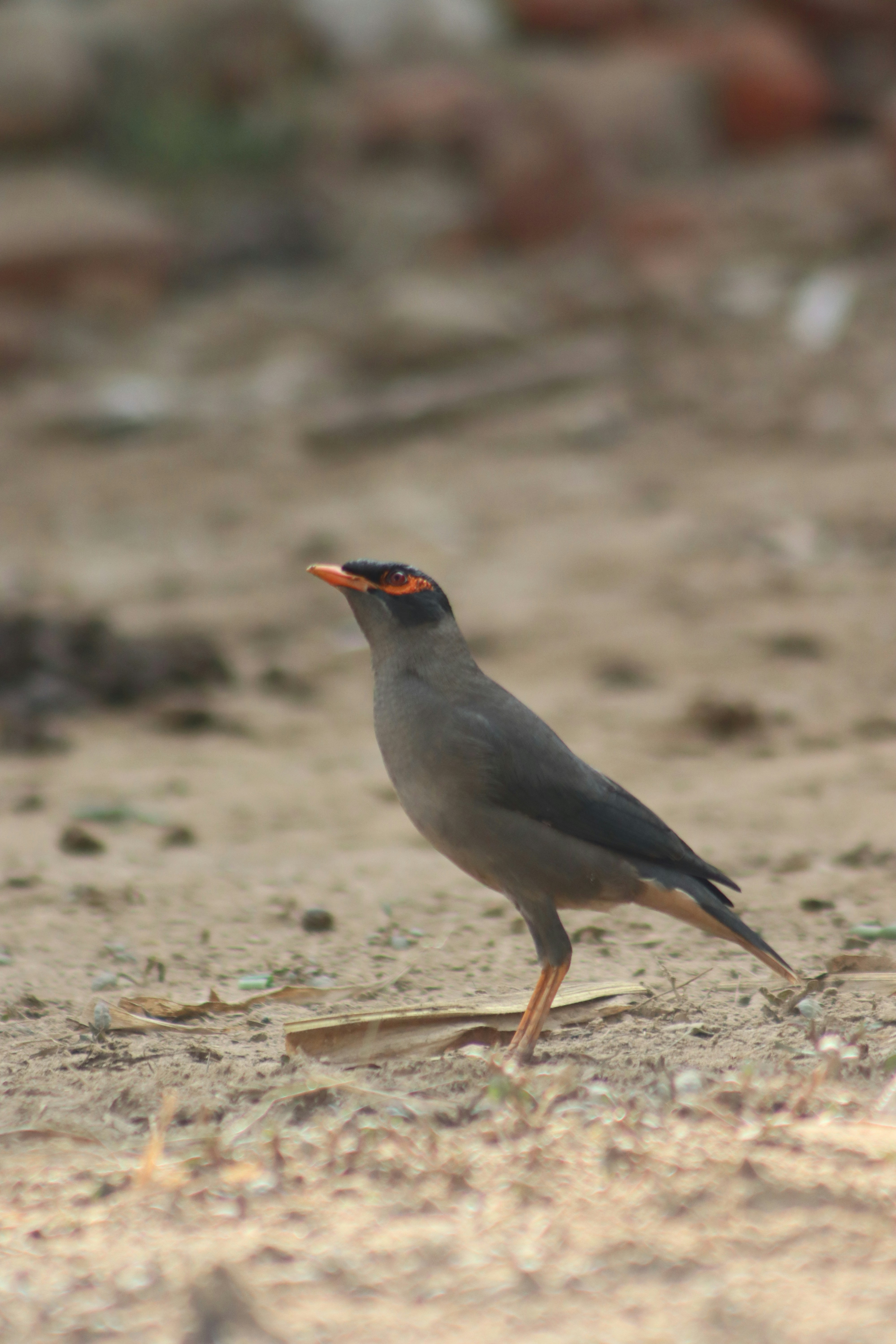 Photo by drphotographer152