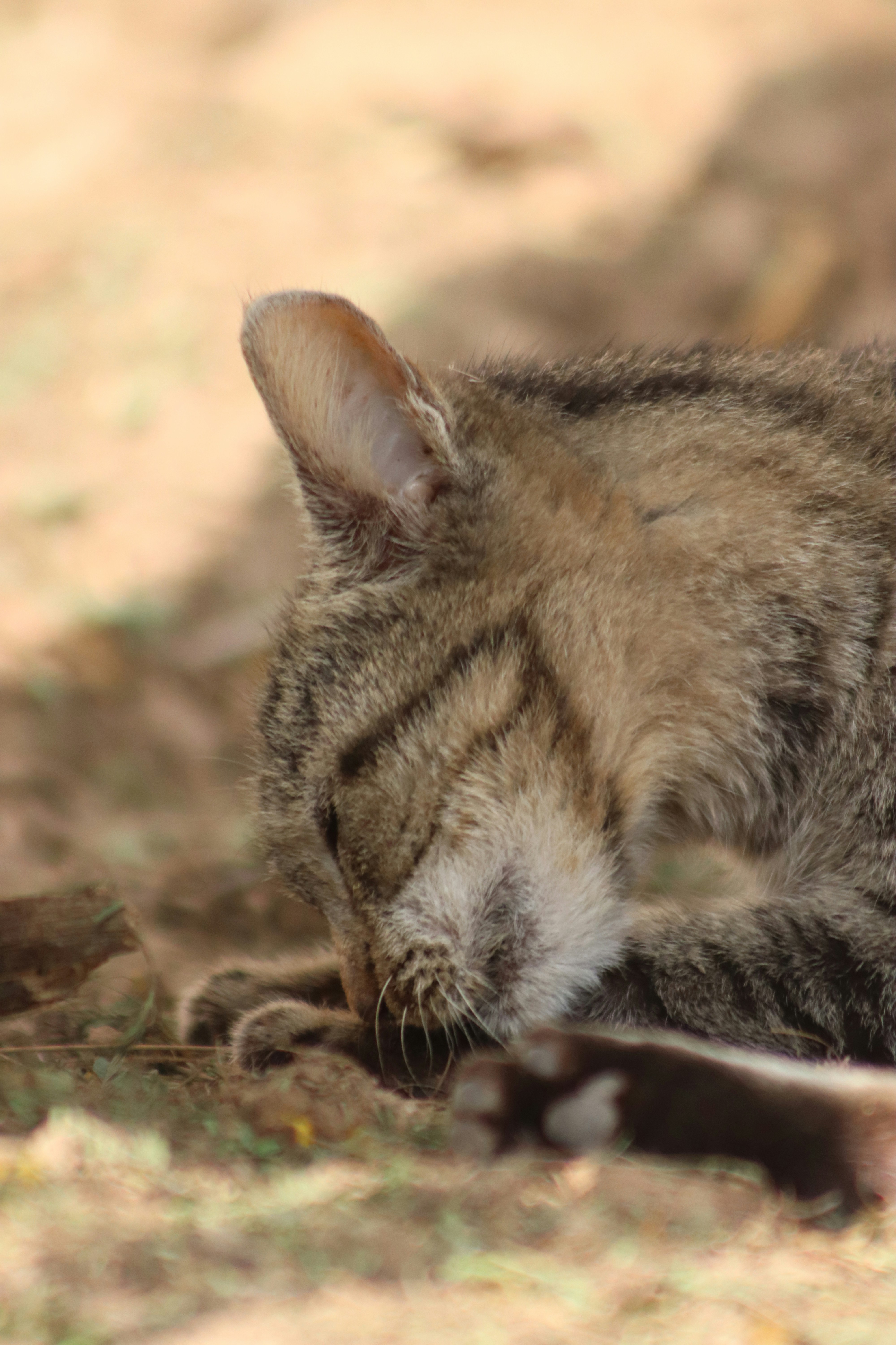 Photo by drphotographer152