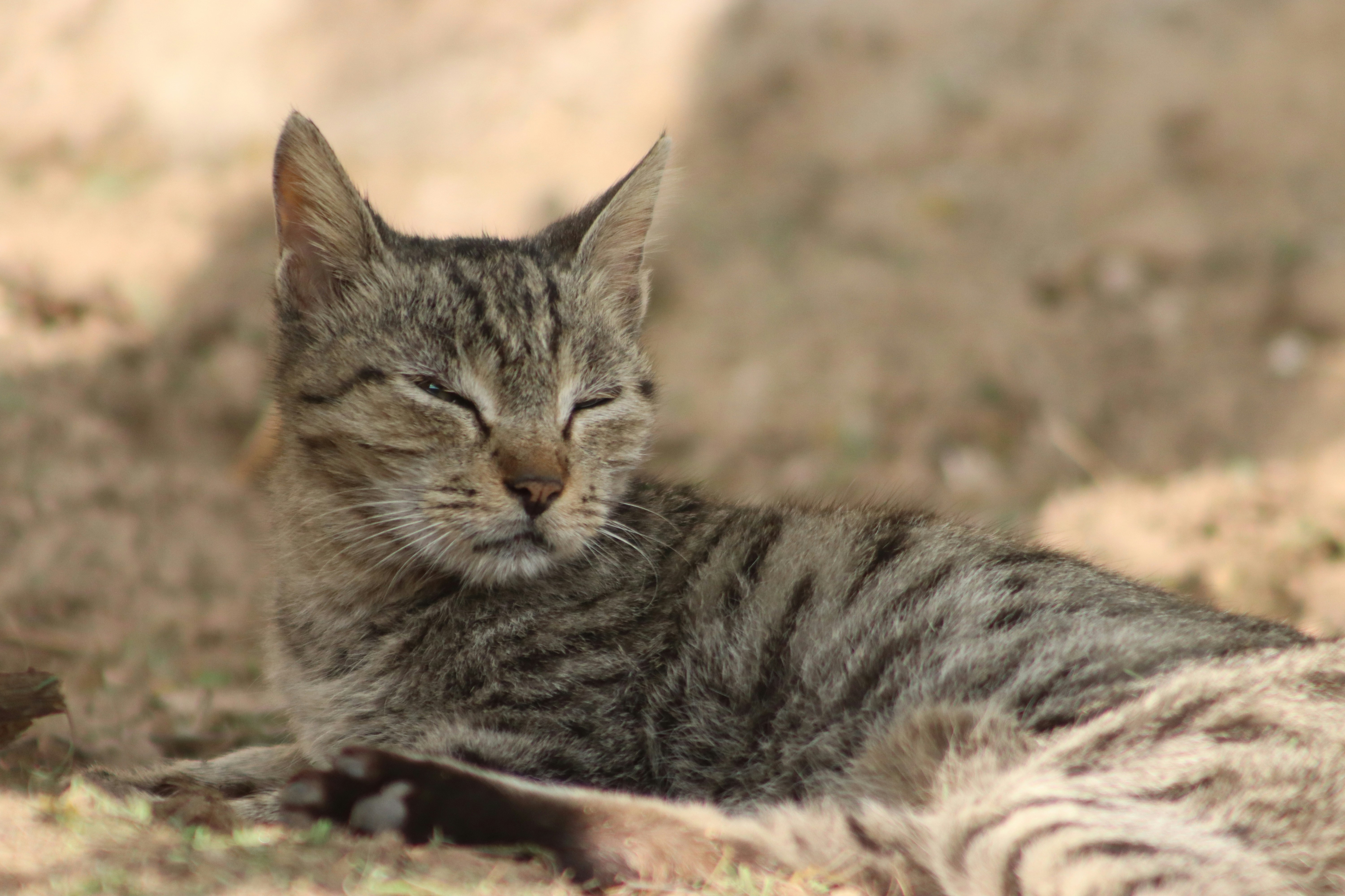 Photo by drphotographer152