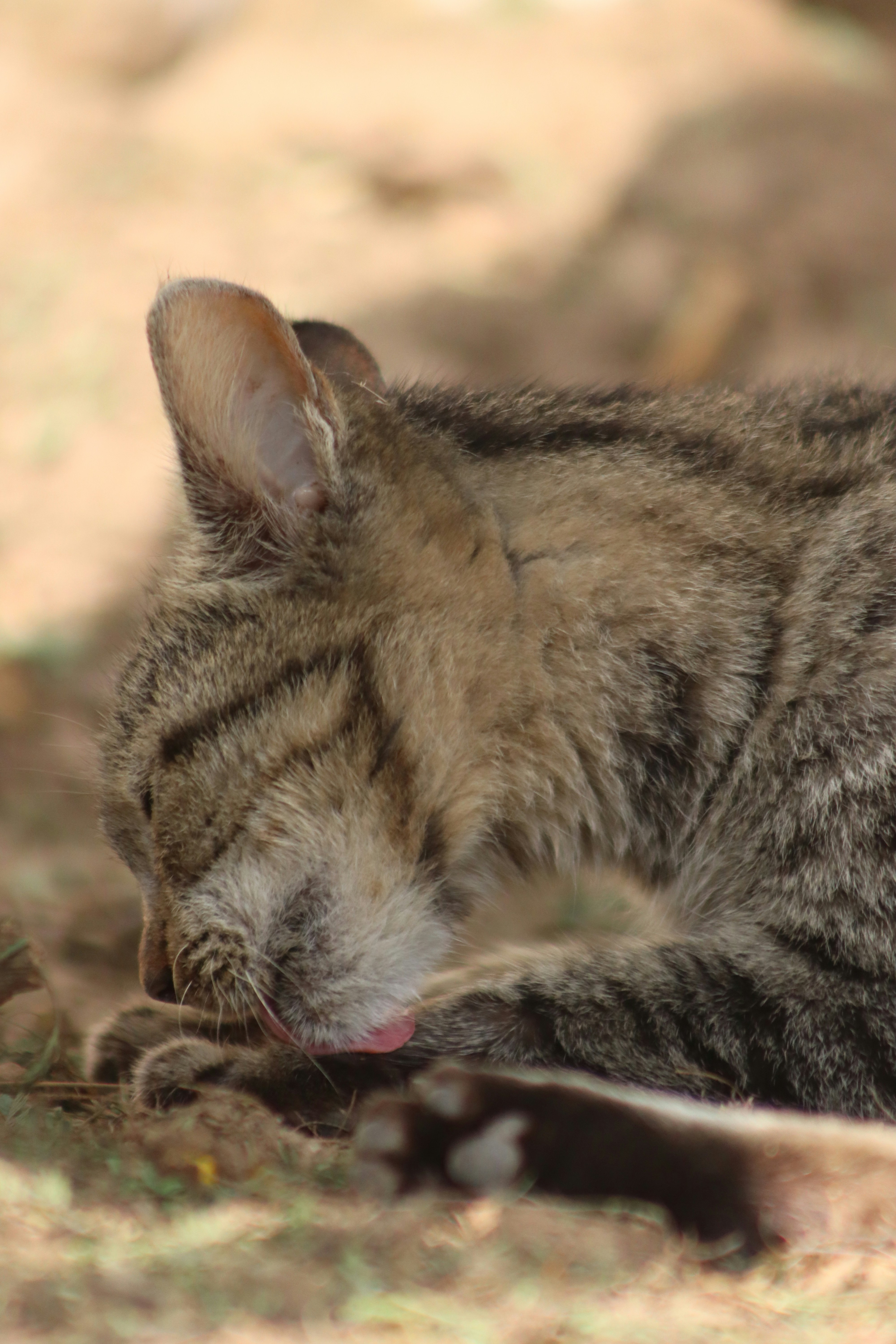 Photo by drphotographer152