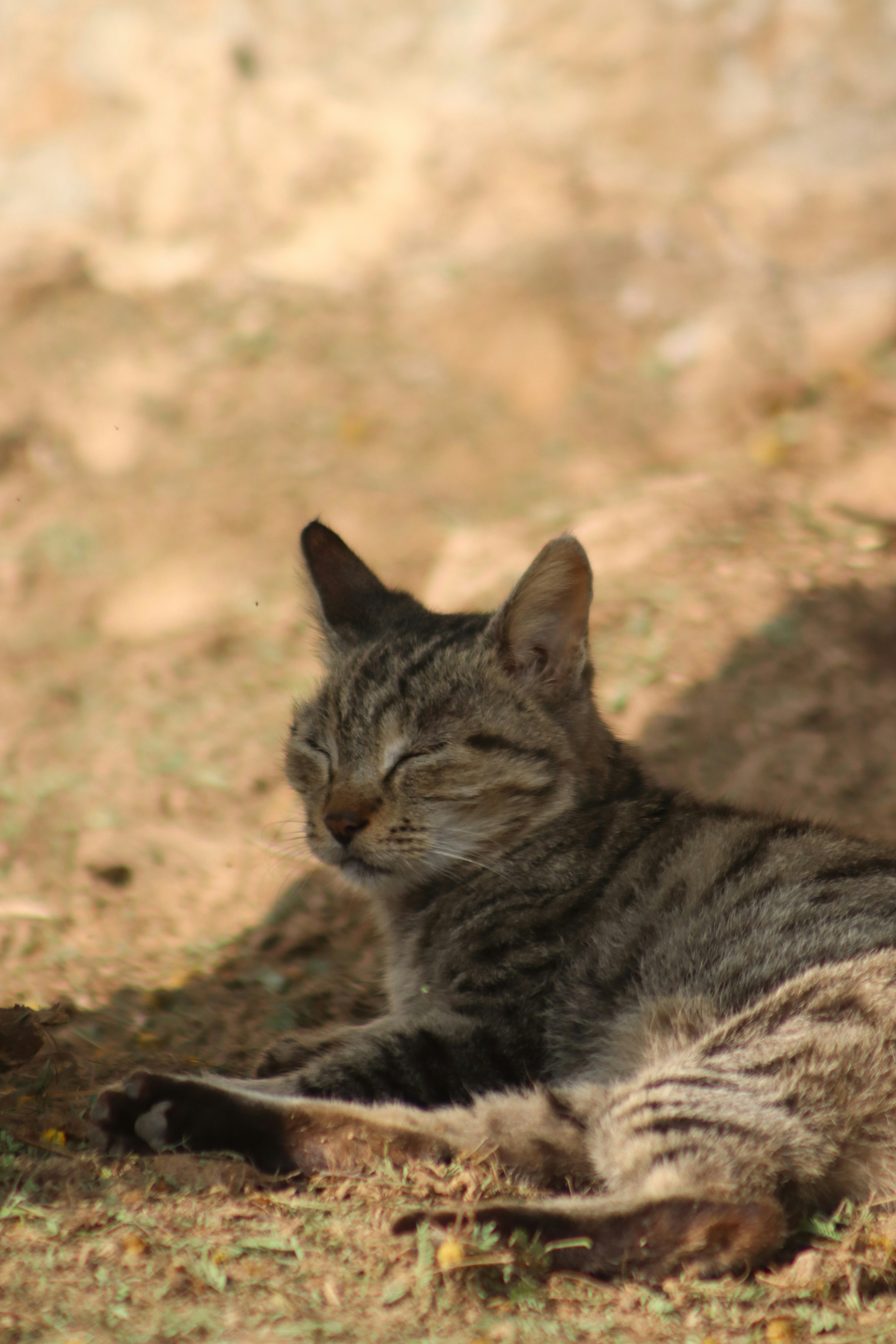 Photo by drphotographer152