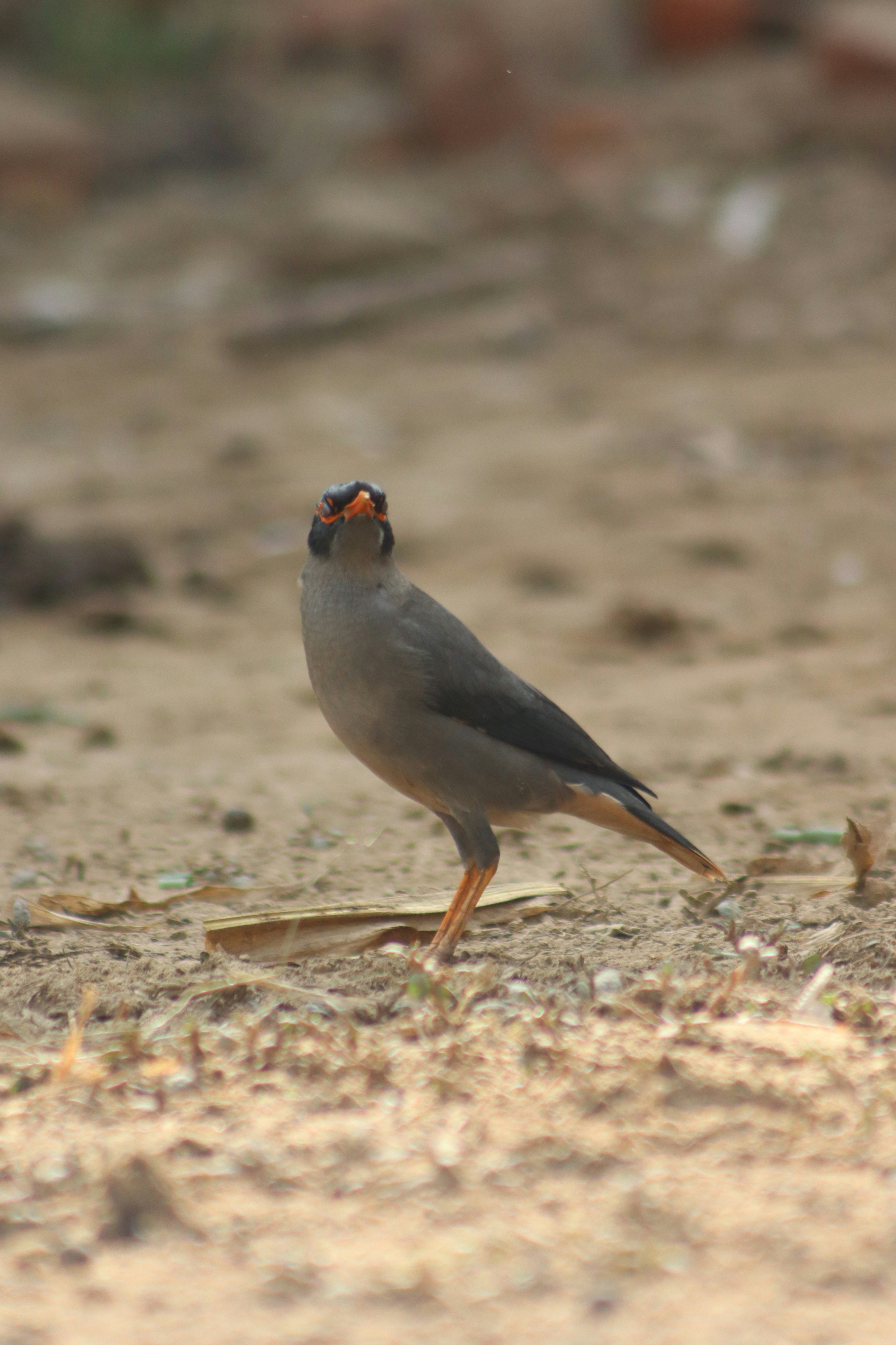 Photo by drphotographer152