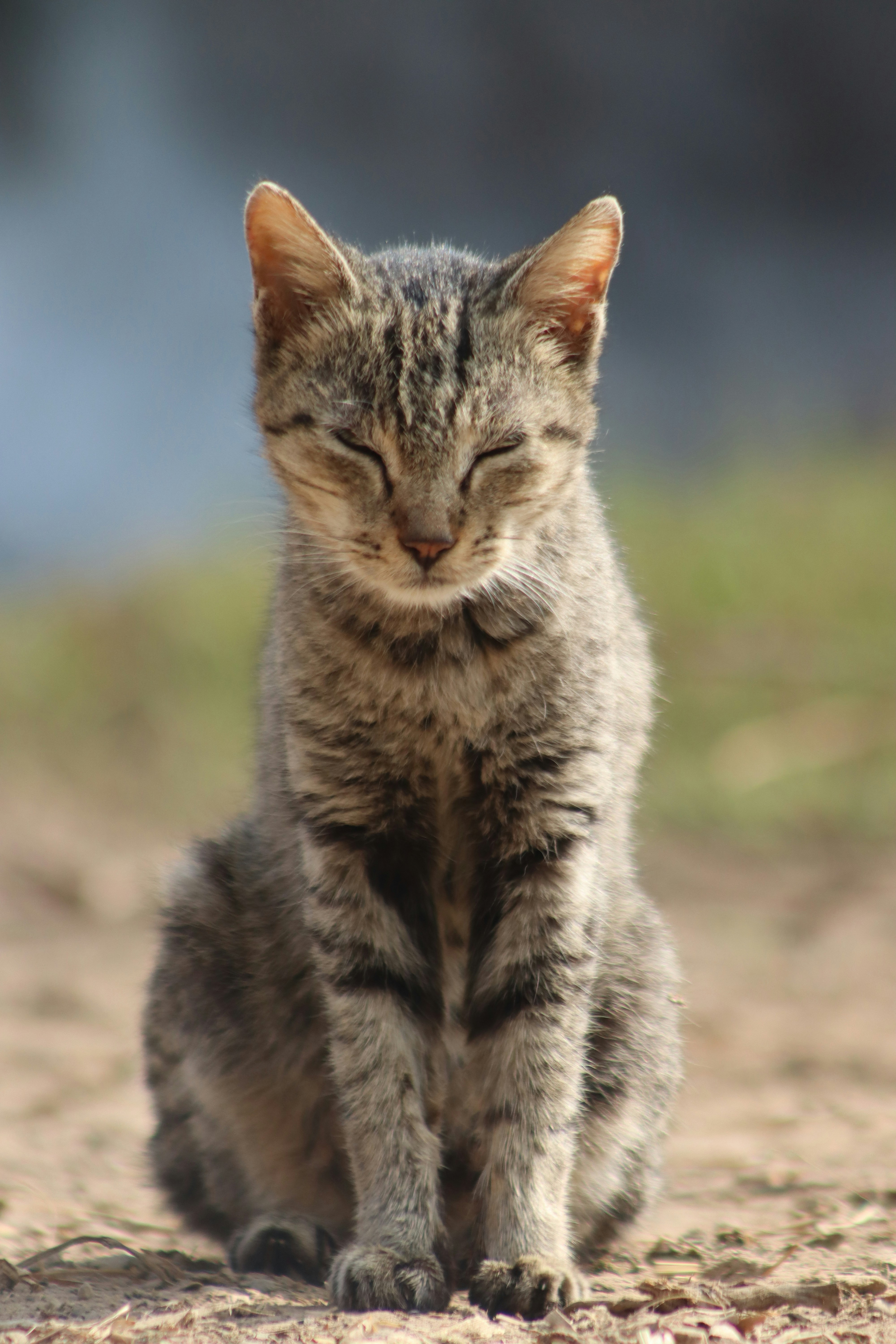 Photo by drphotographer152