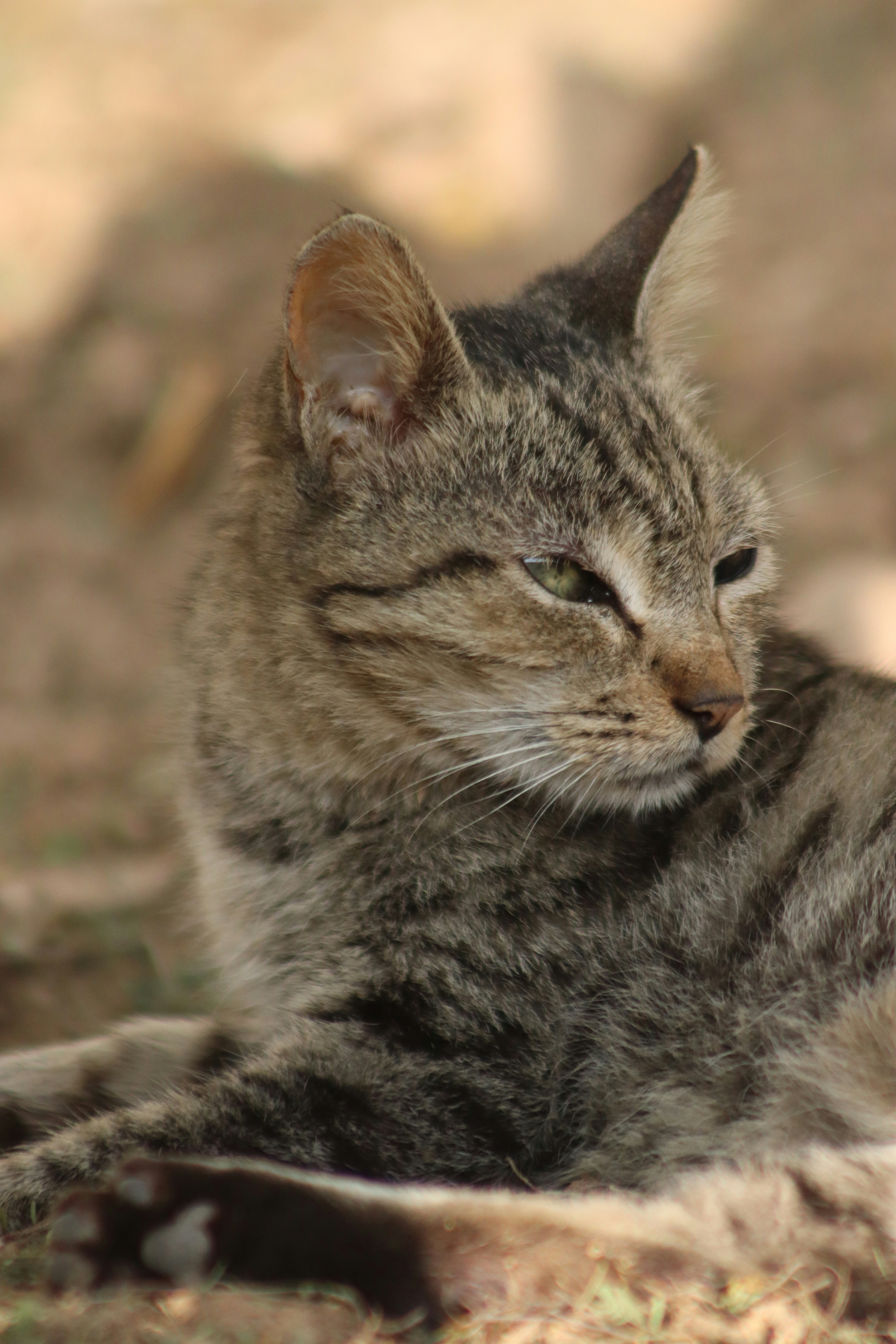 Photo by drphotographer152