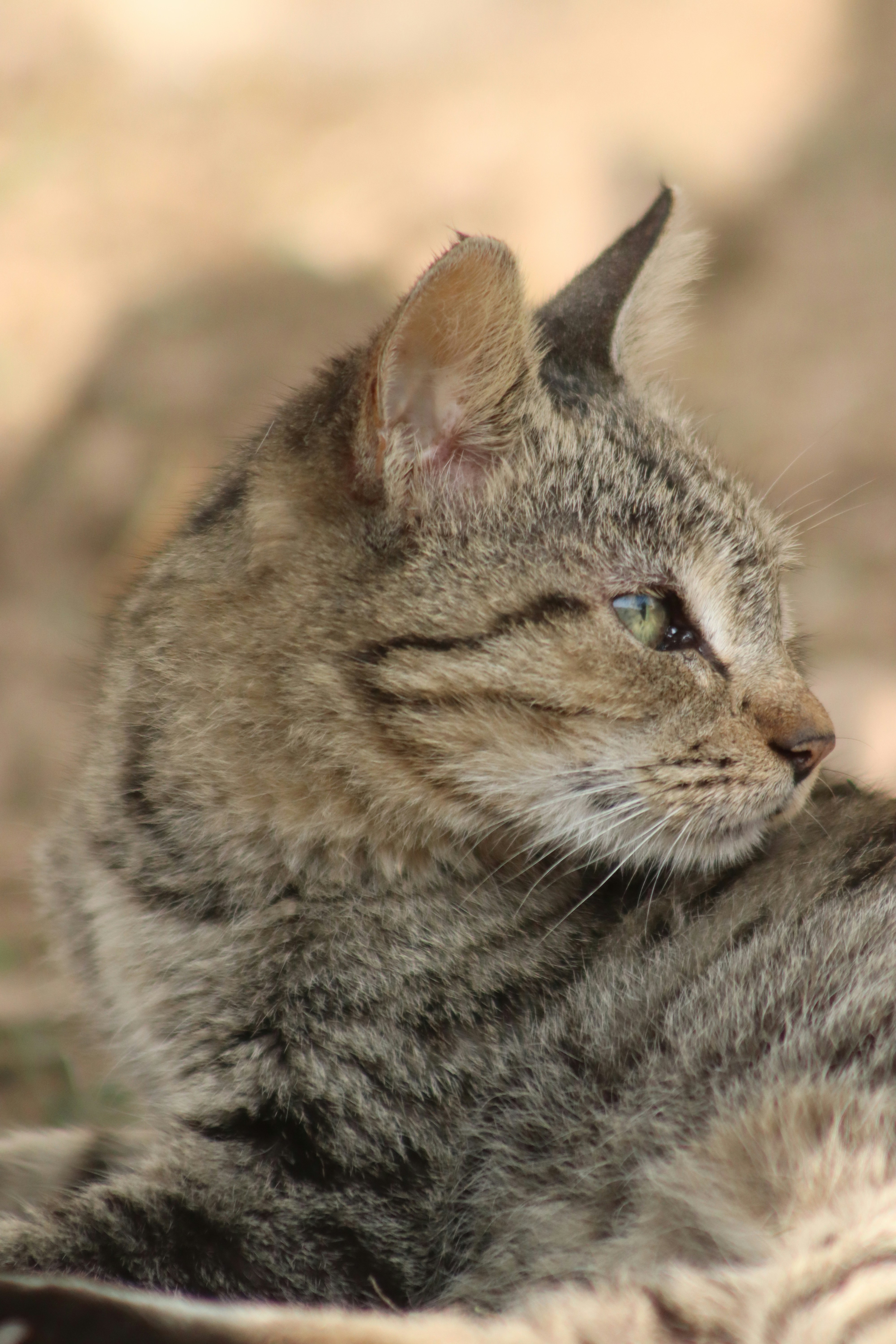 Photo by drphotographer152