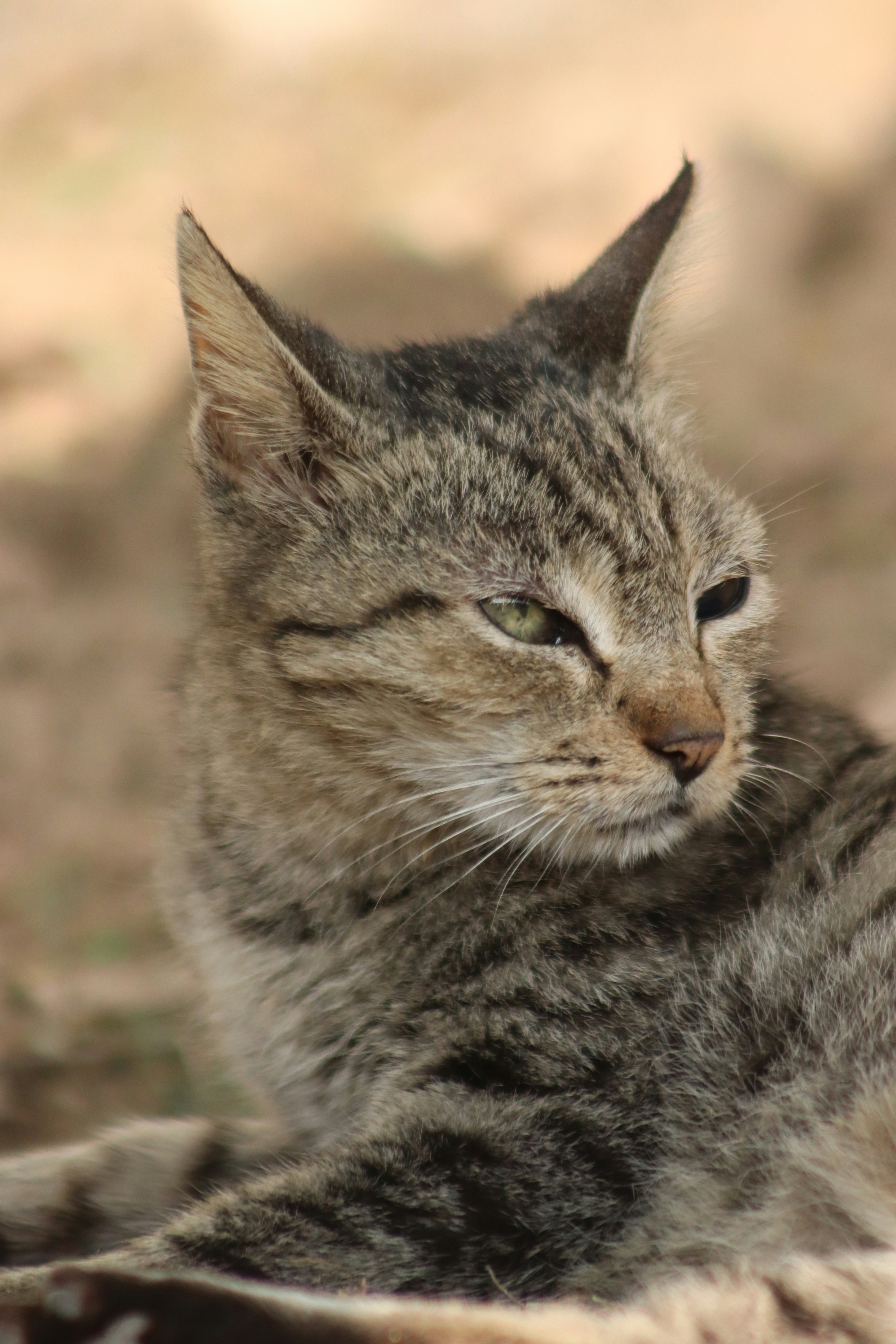 Photo by drphotographer152