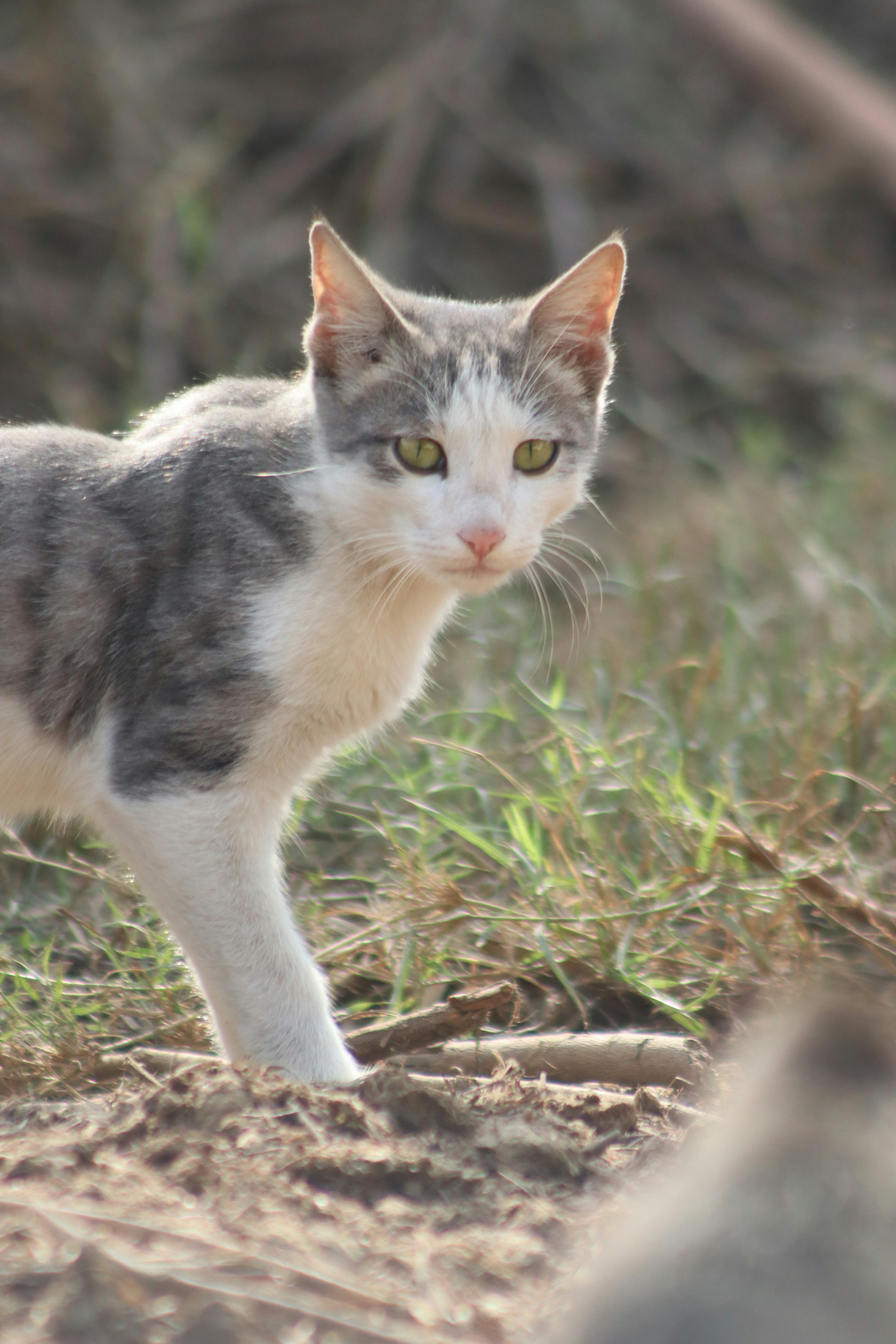 Photo by drphotographer152