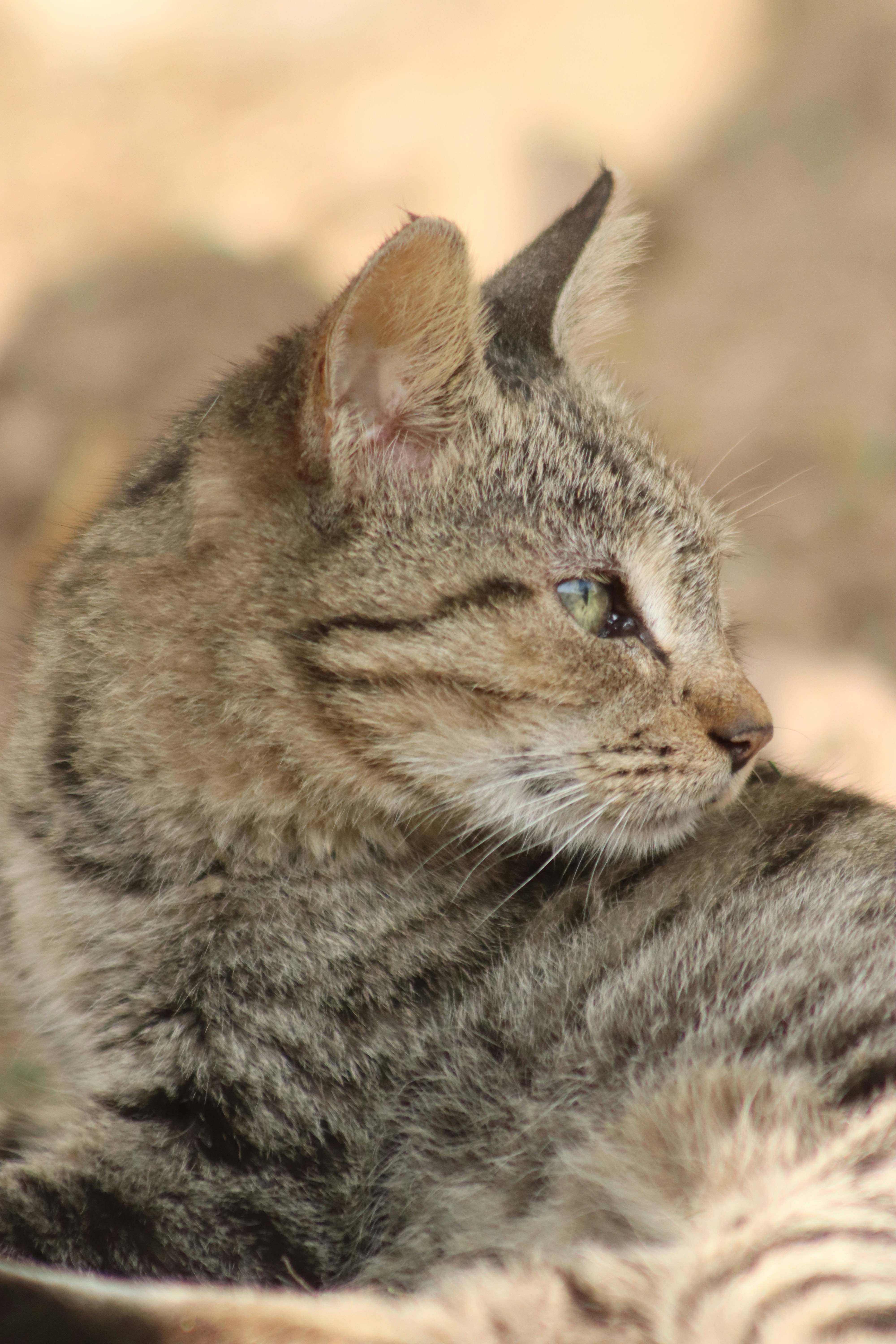 Photo by drphotographer152