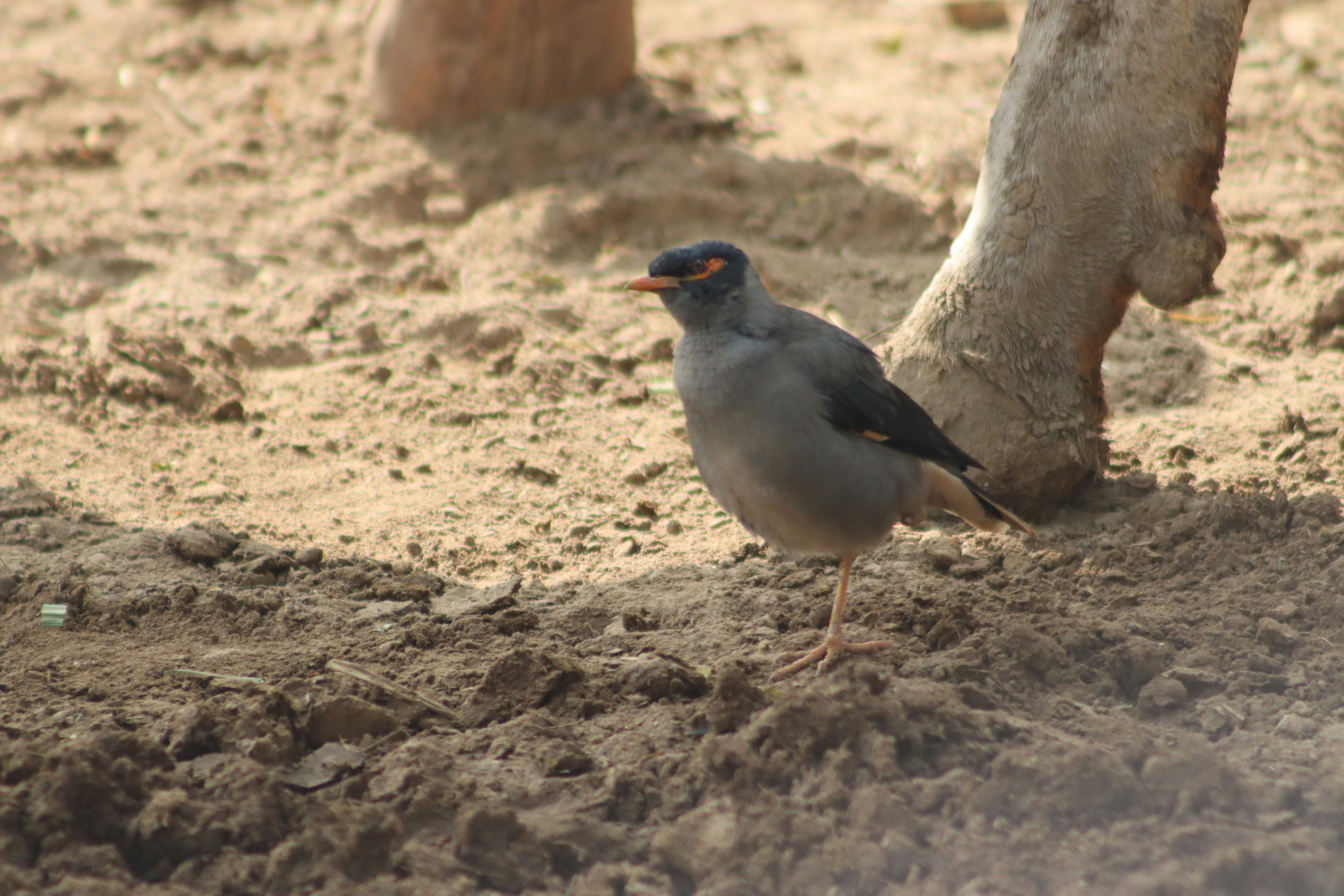 Photo by drphotographer152