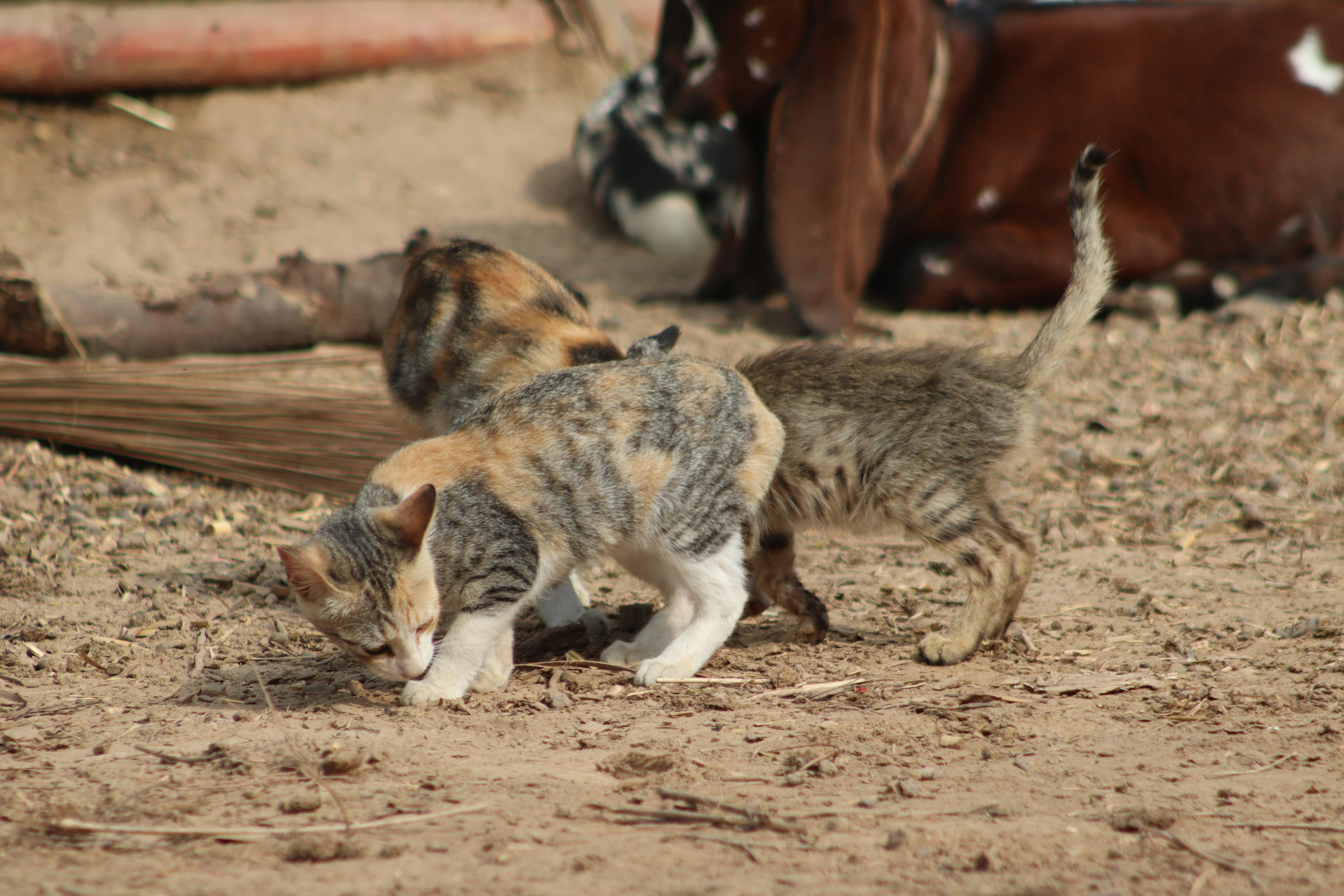 Photo by drphotographer152