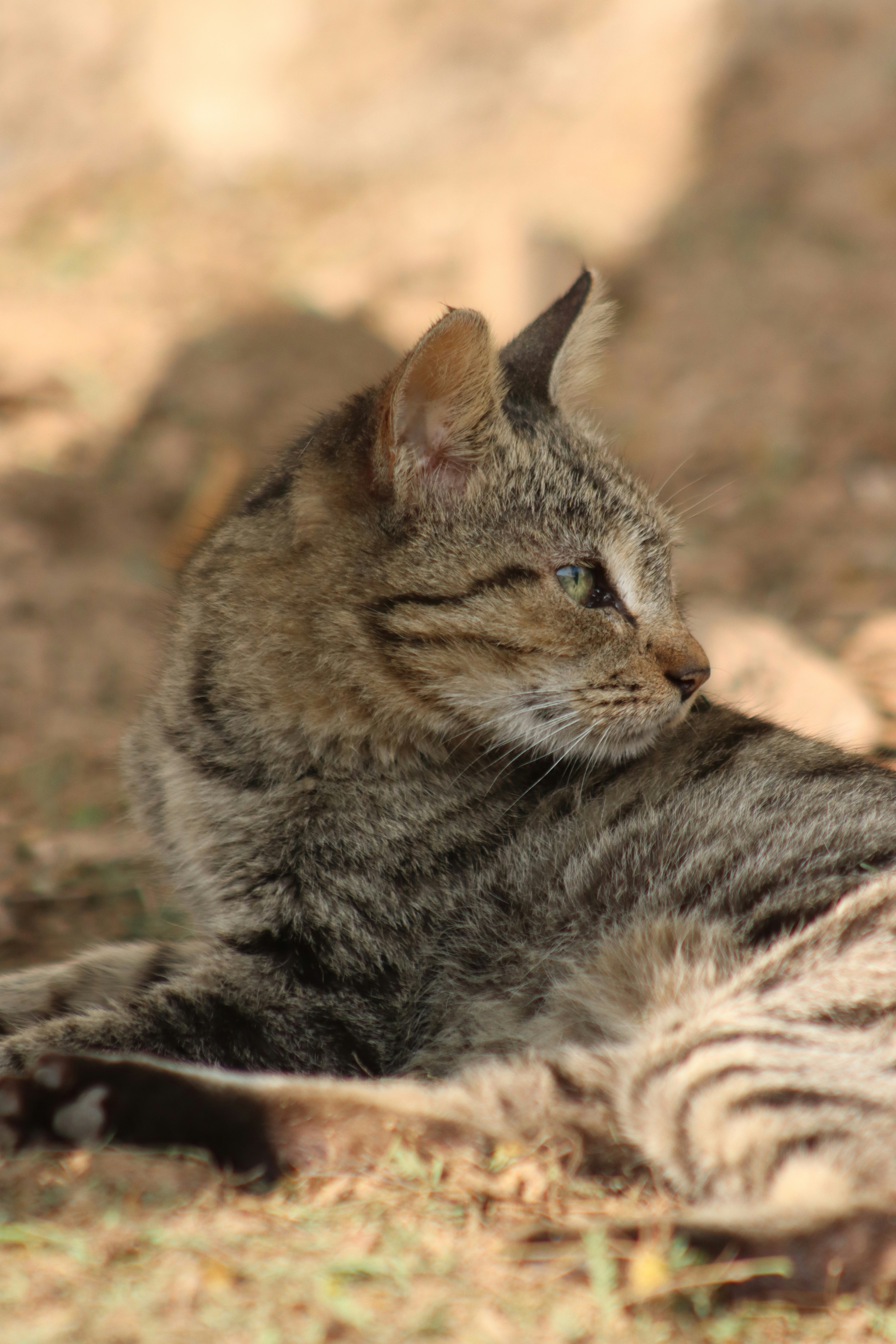 Photo by drphotographer152