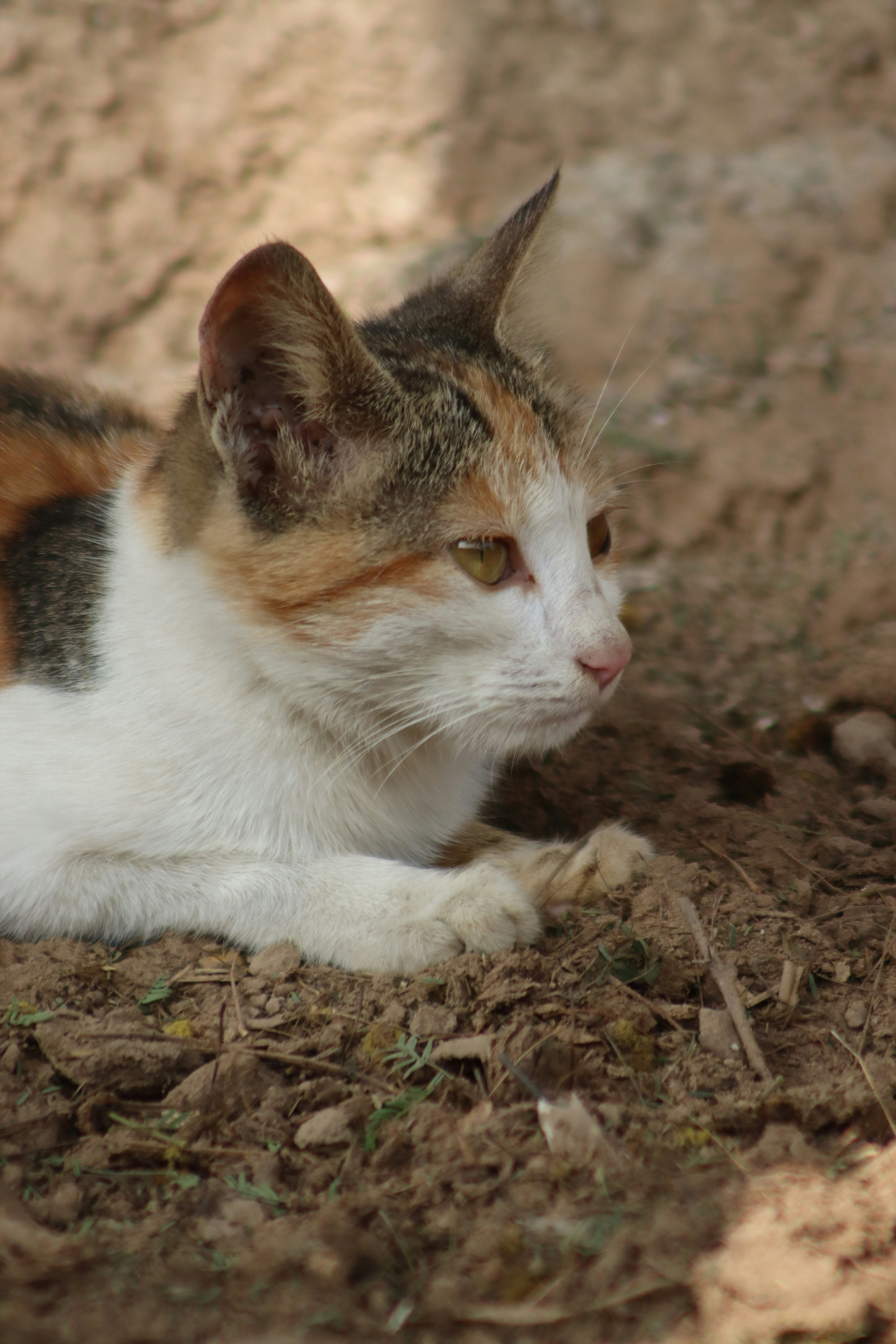 Photo by drphotographer152