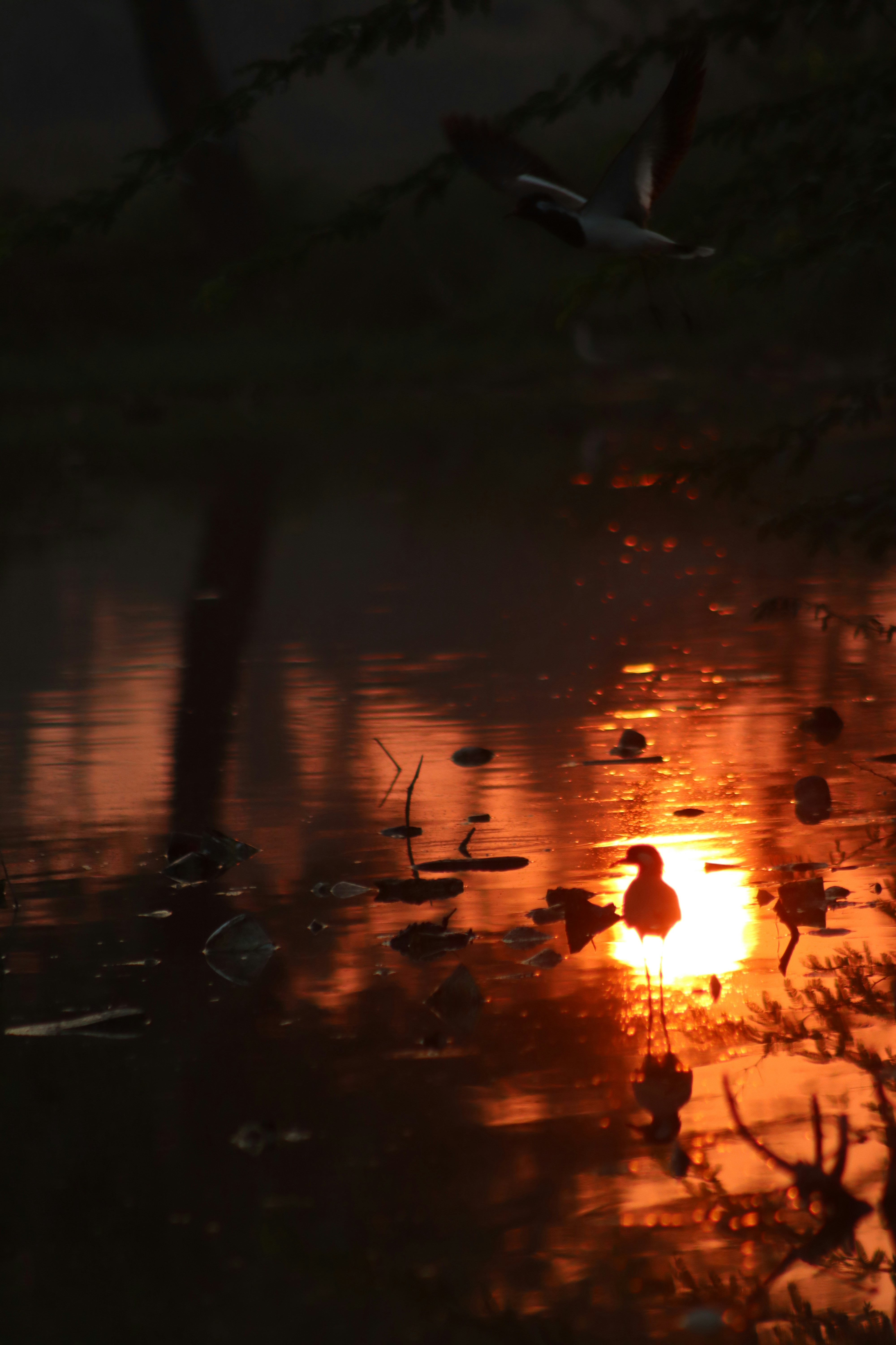 Photo by drphotographer152