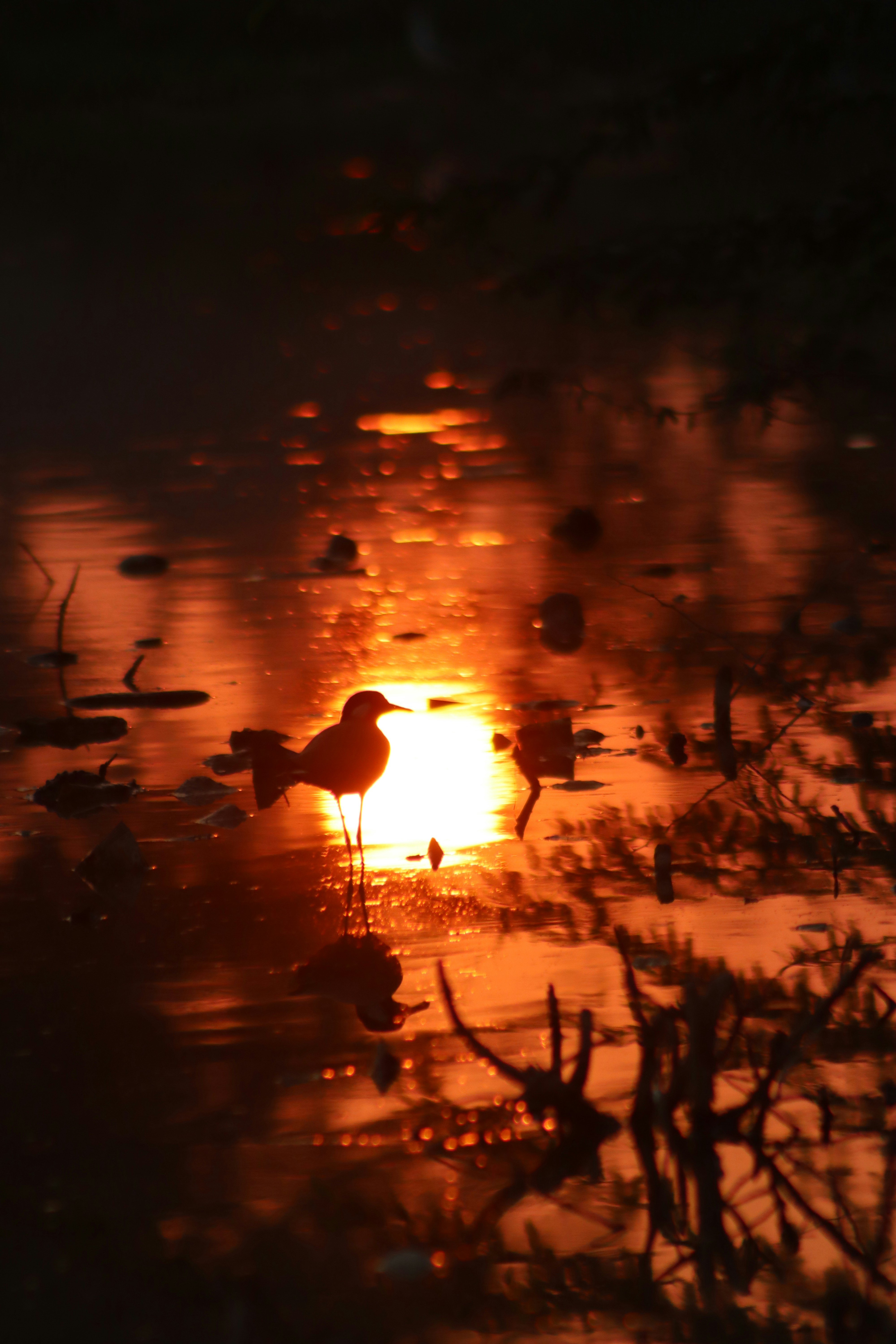 Photo by drphotographer152