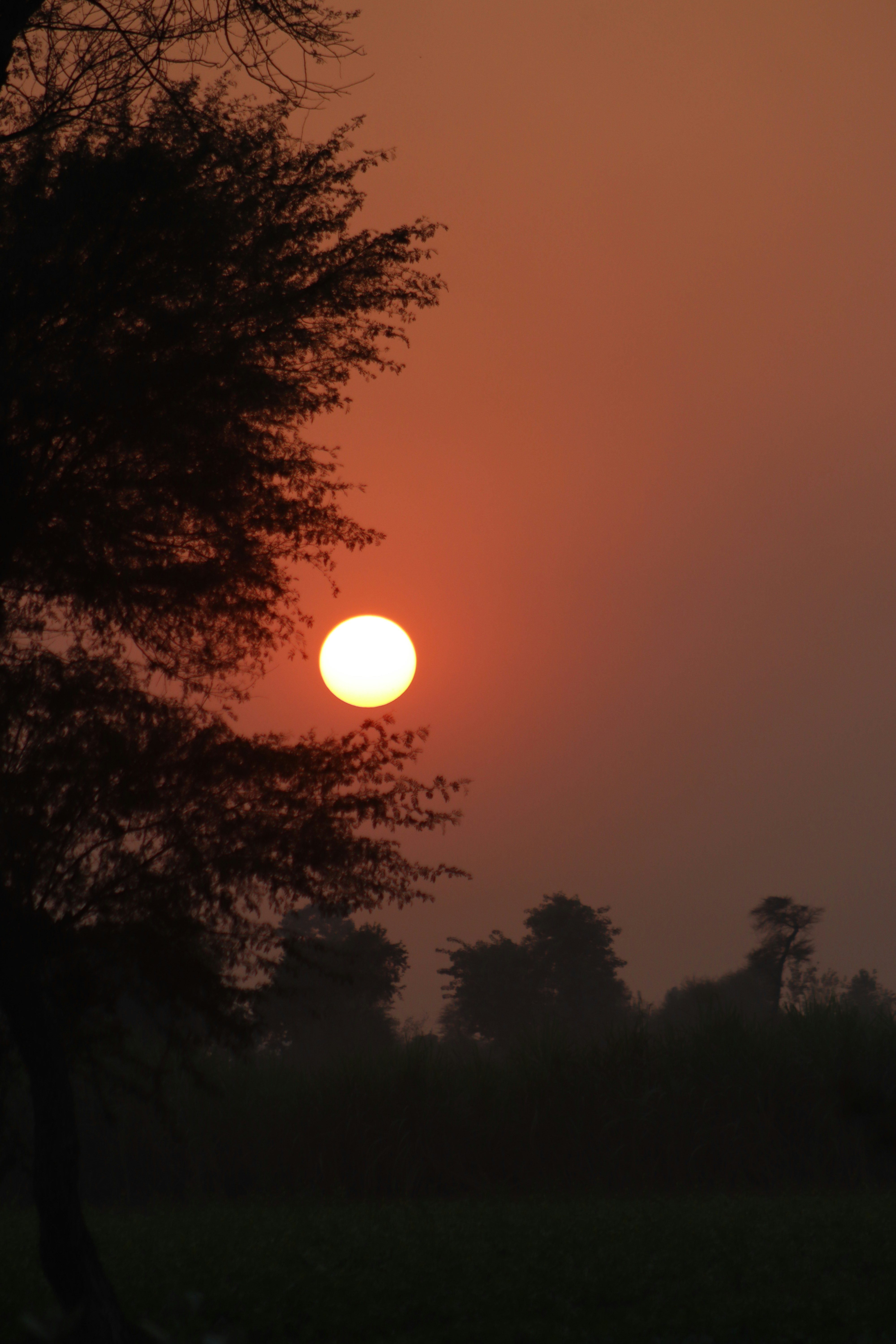 Photo by drphotographer152