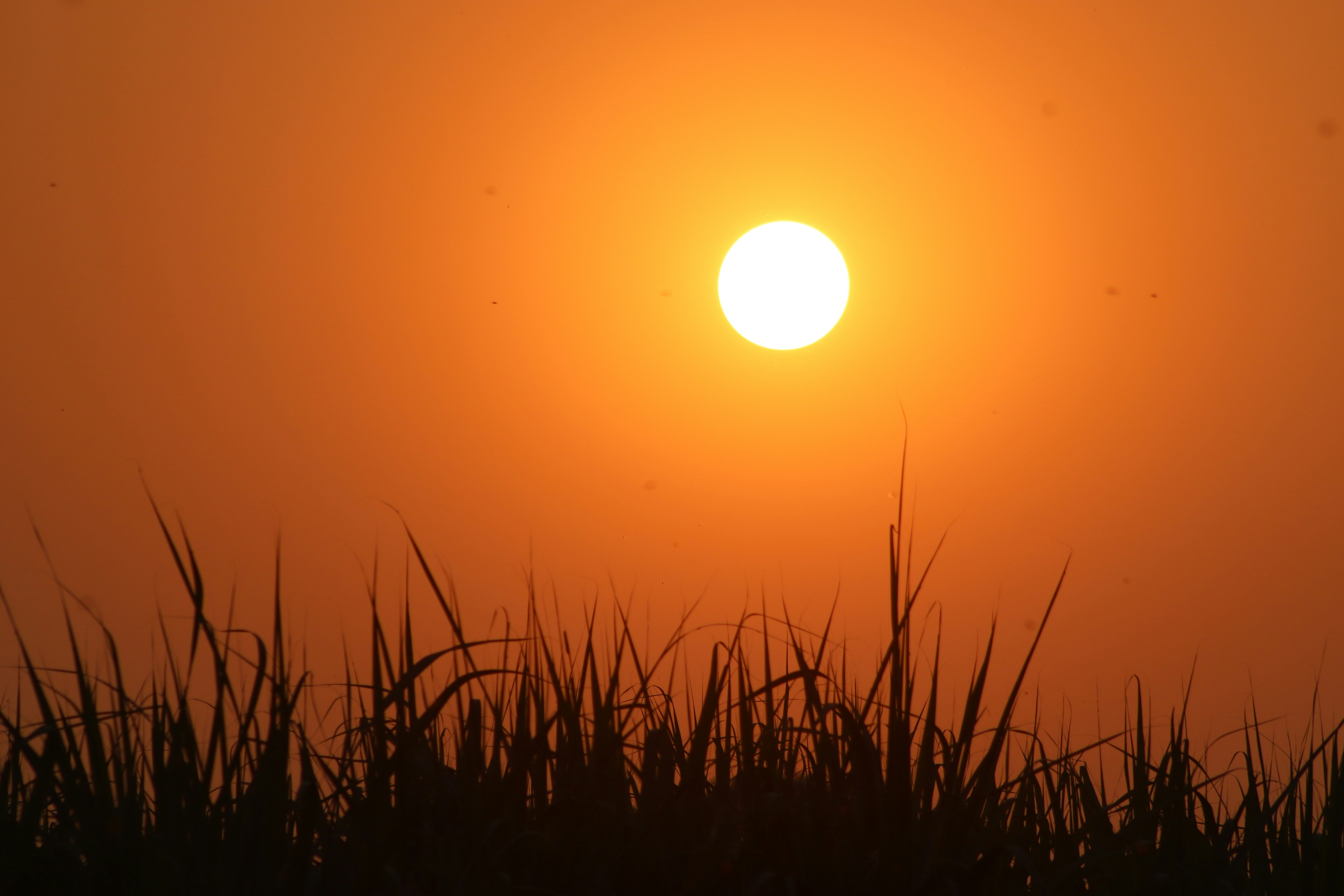 Photo by drphotographer152