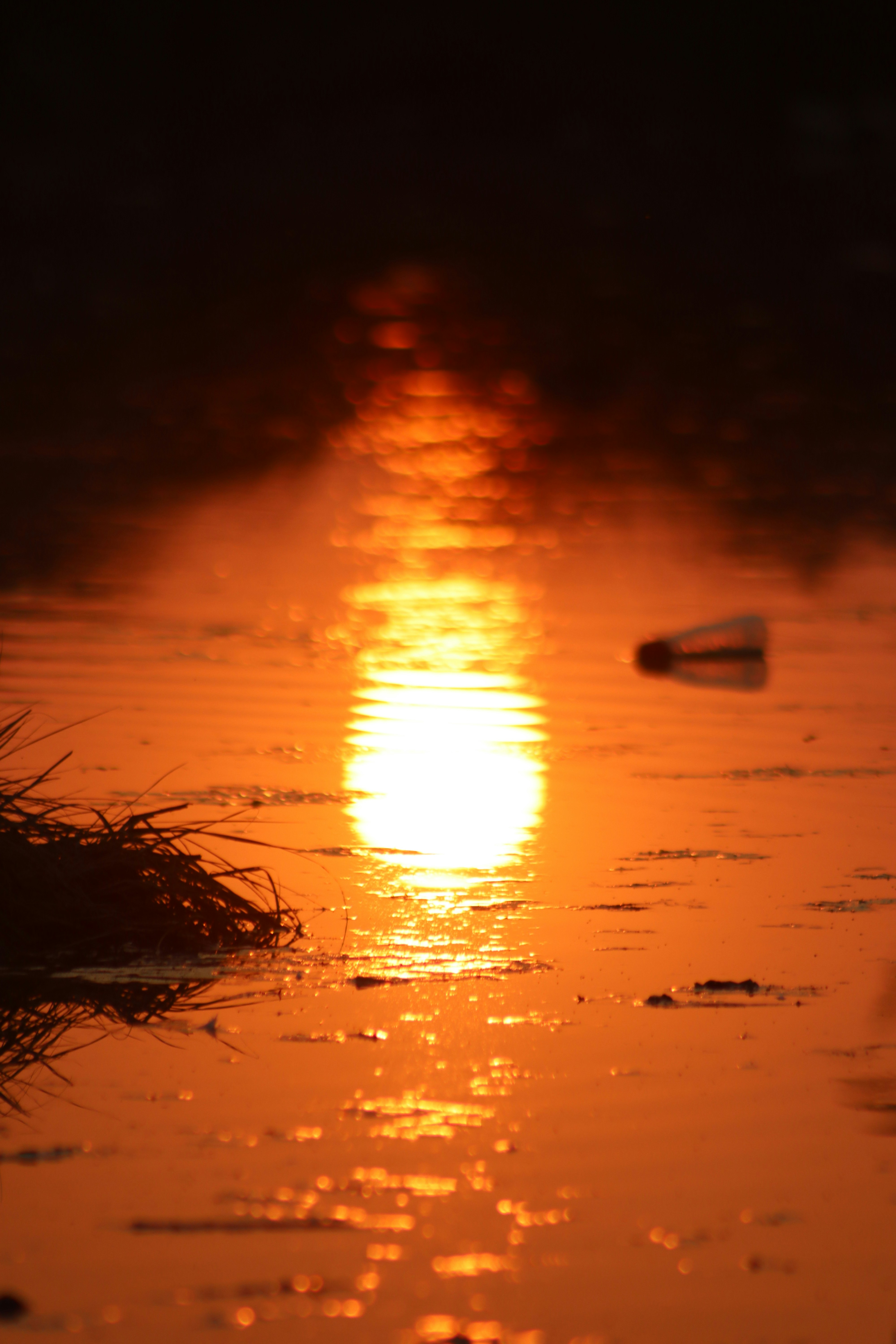 Photo by drphotographer152