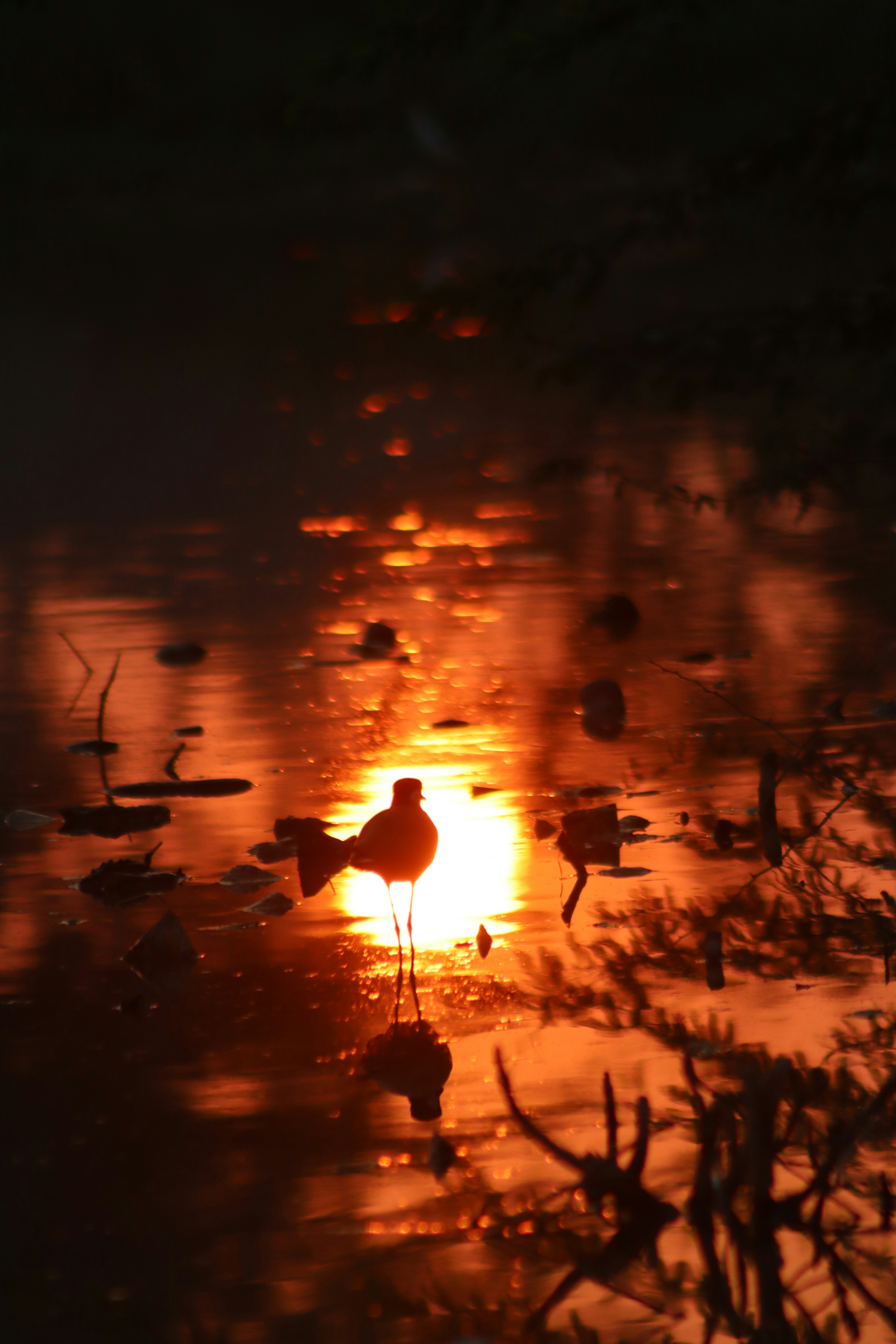 Photo by drphotographer152