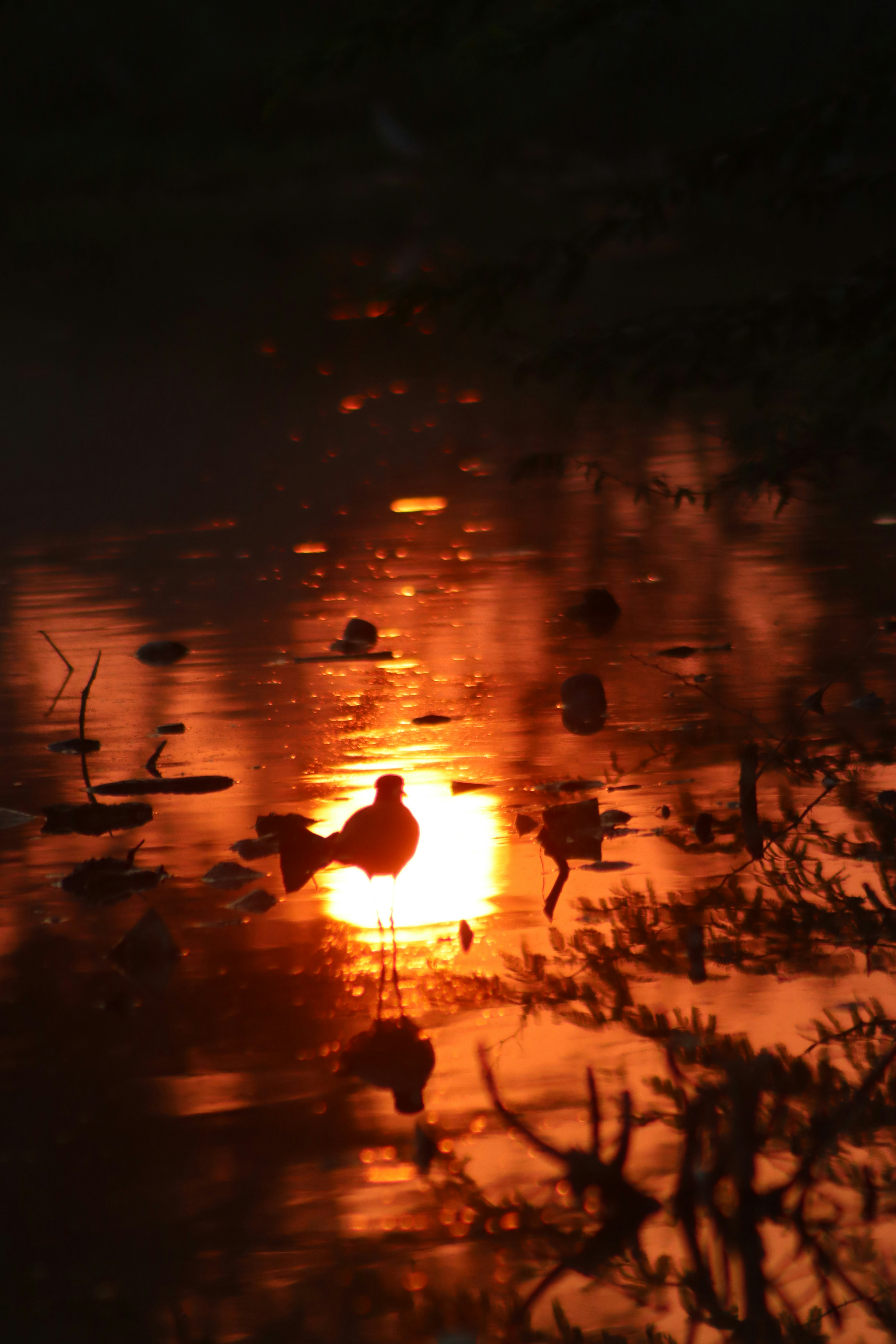 Photo by drphotographer152