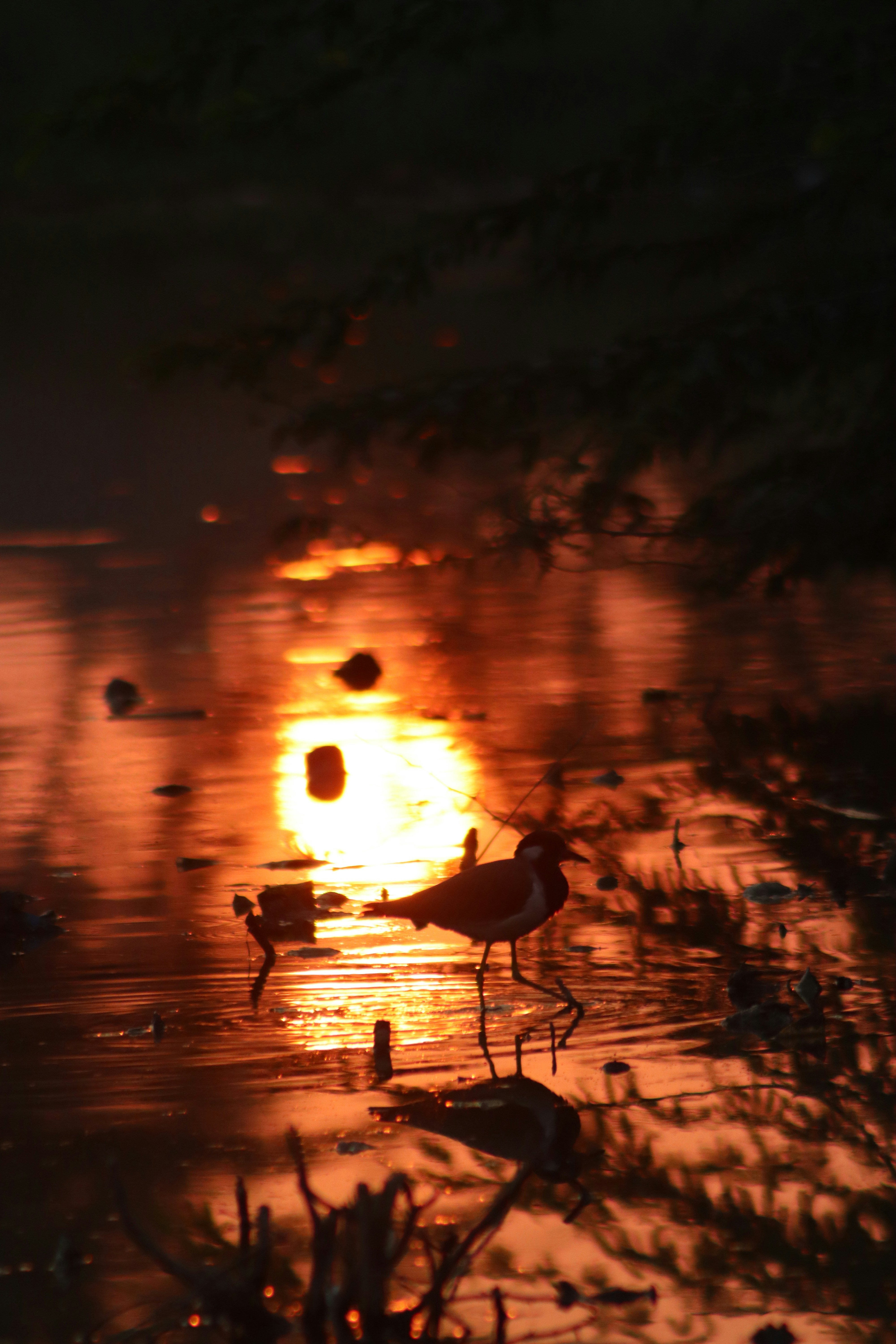 Photo by drphotographer152