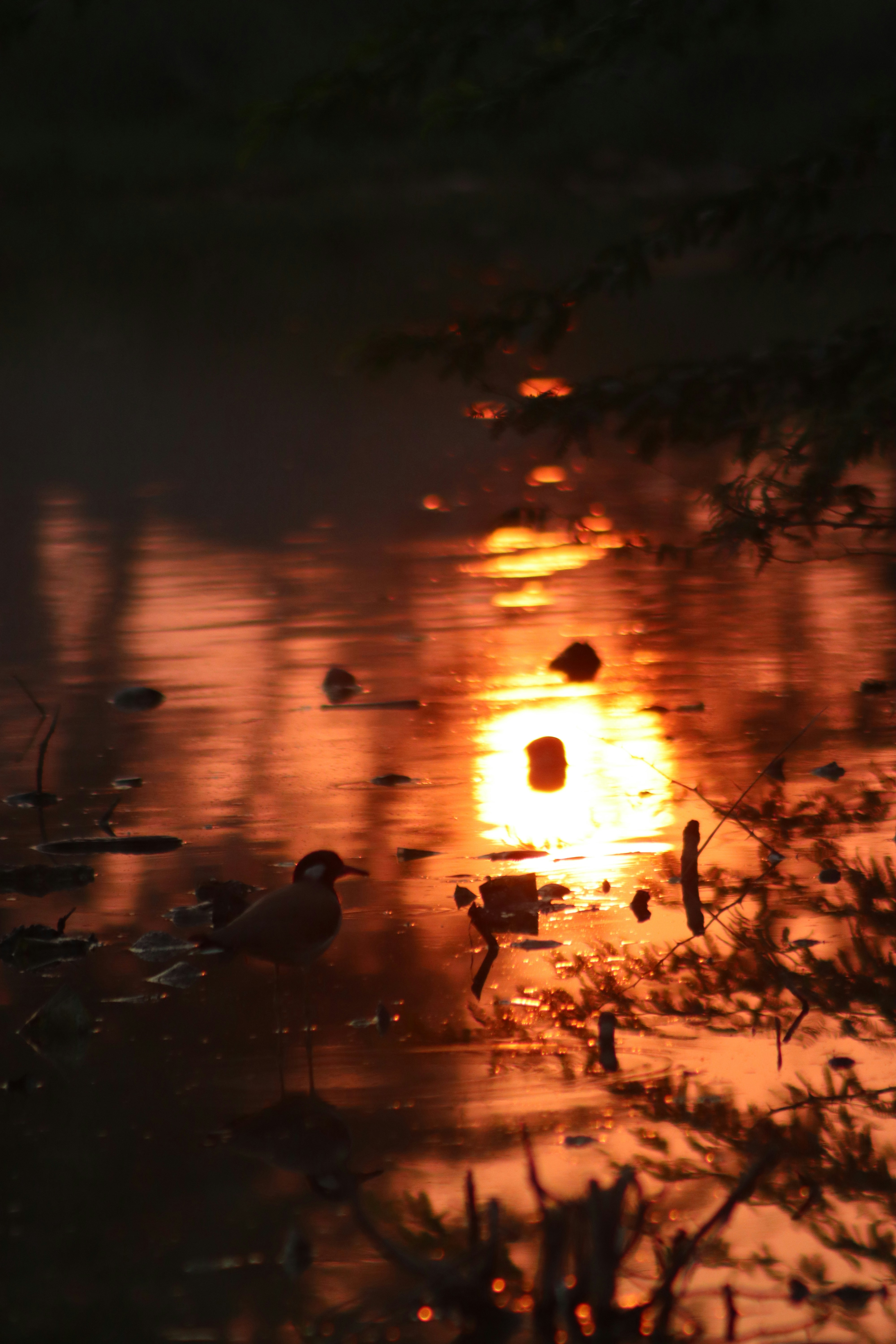 Photo by drphotographer152