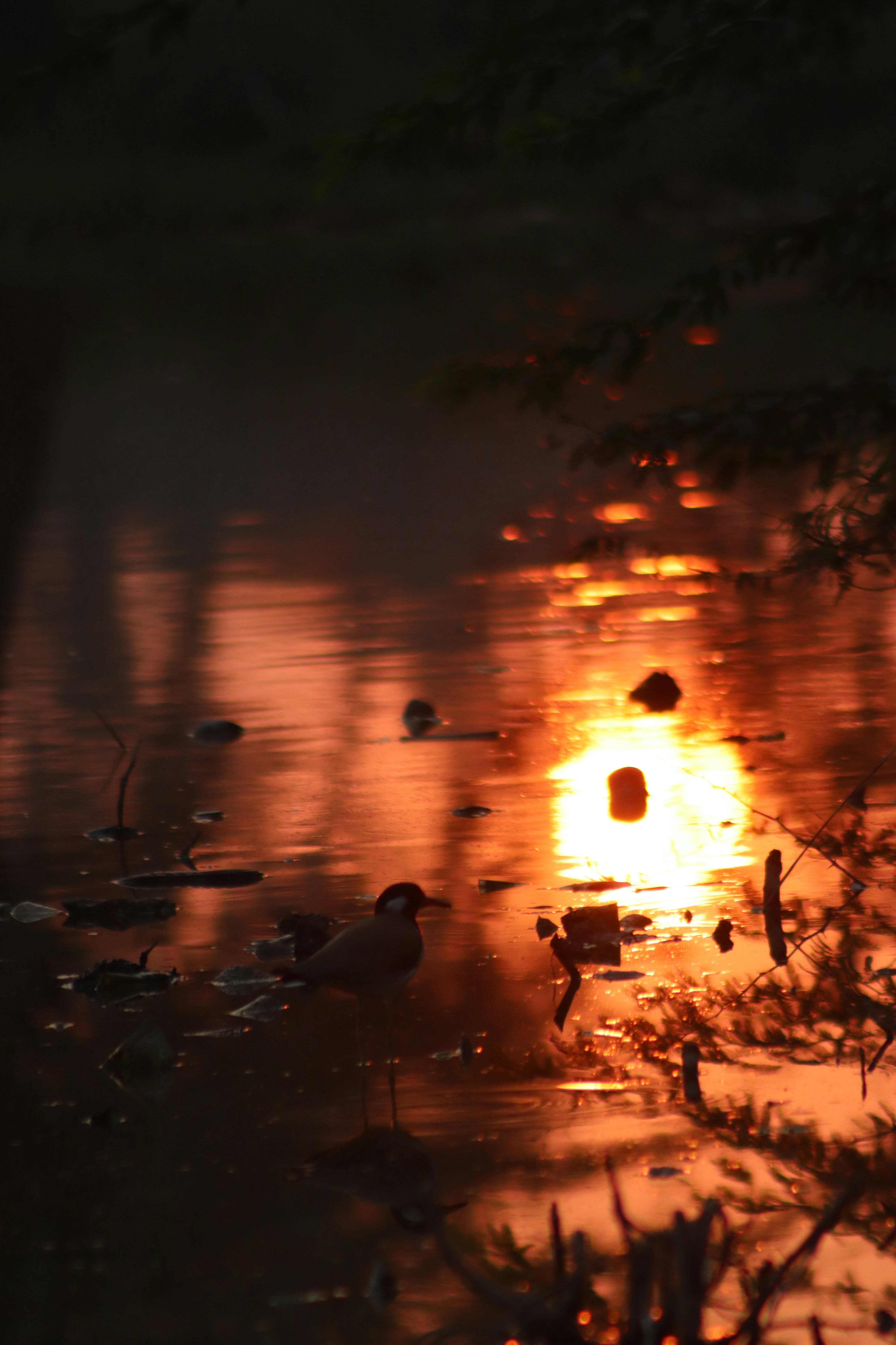 Photo by drphotographer152