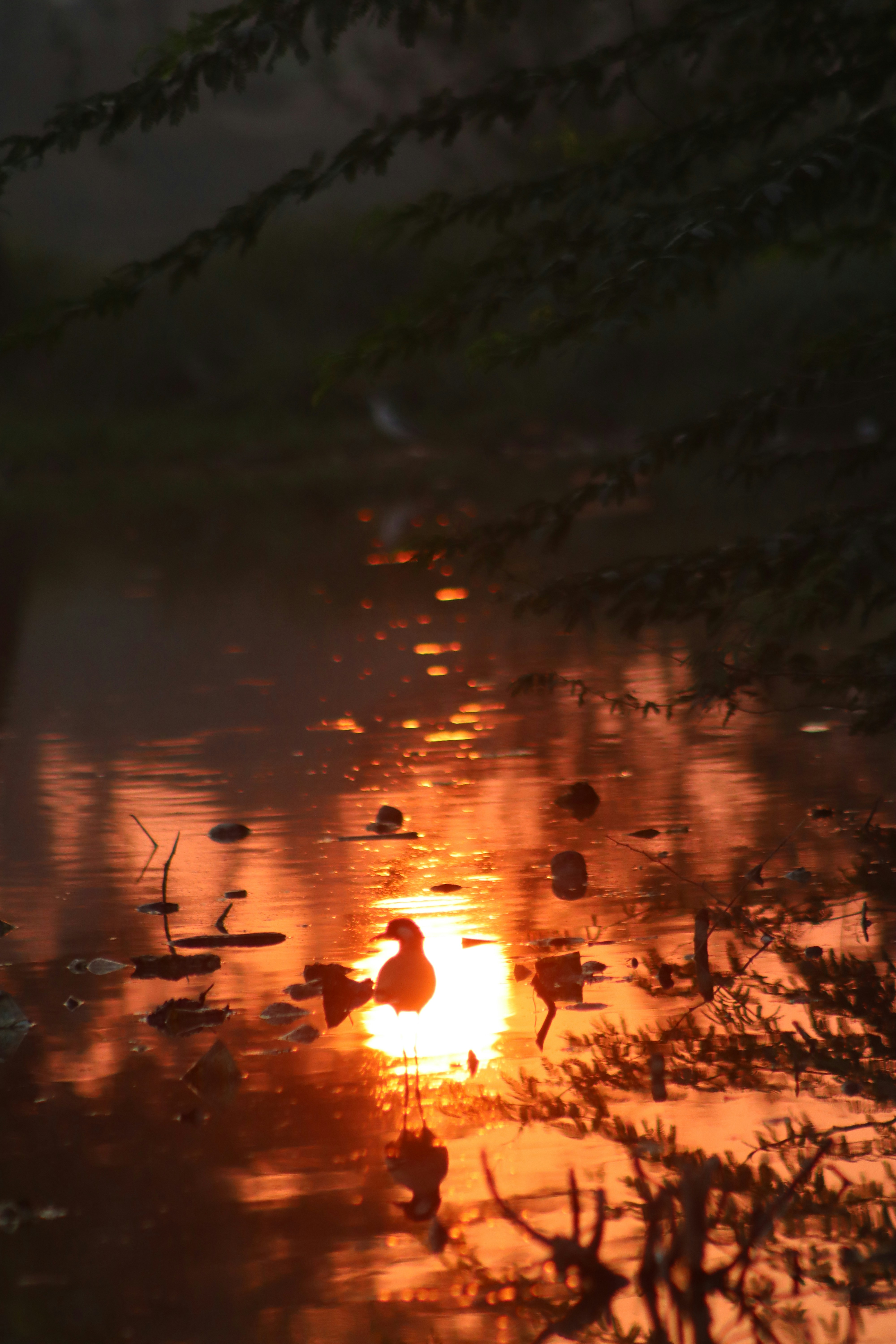 Photo by drphotographer152