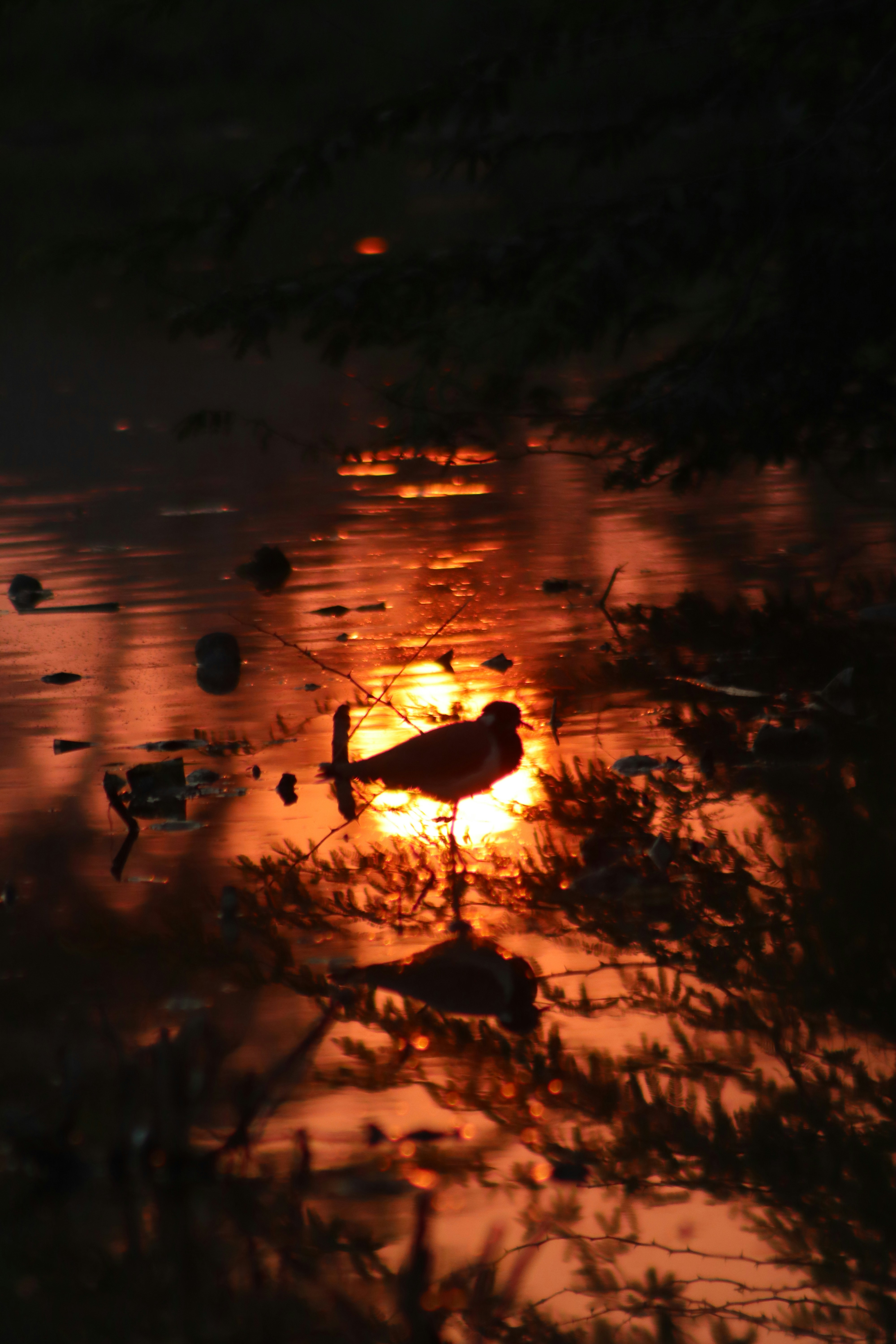 Photo by drphotographer152