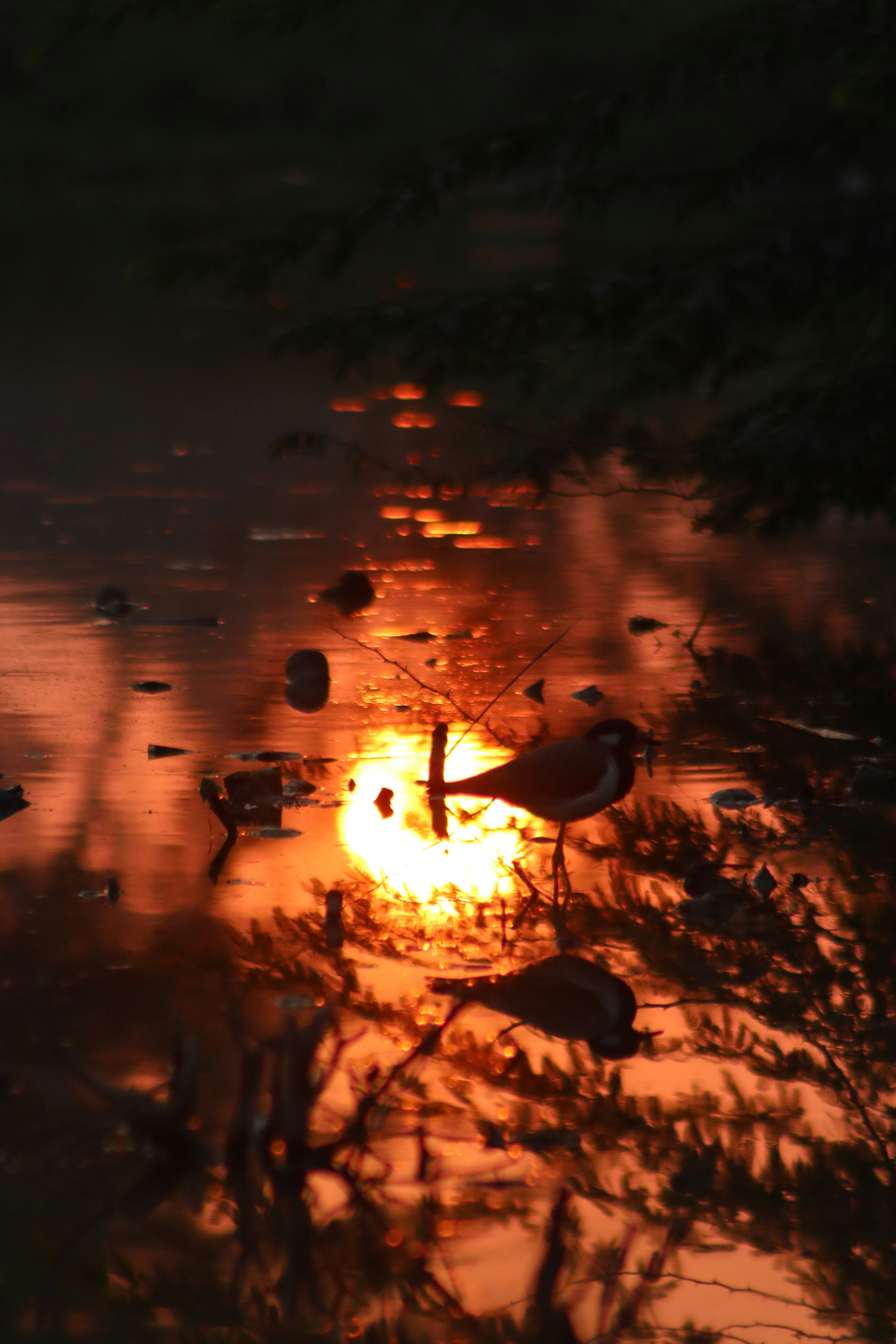 Photo by drphotographer152