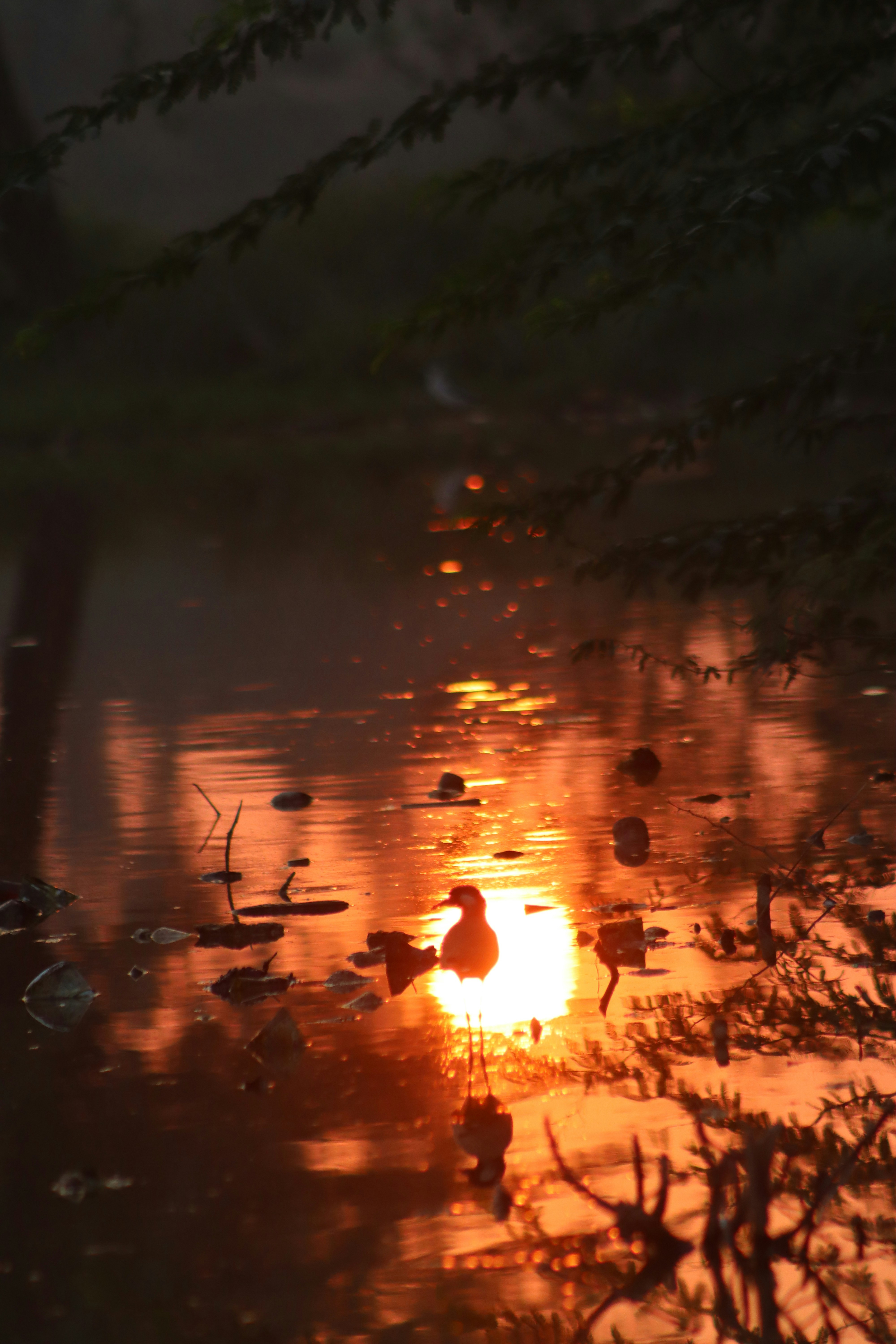 Photo by drphotographer152