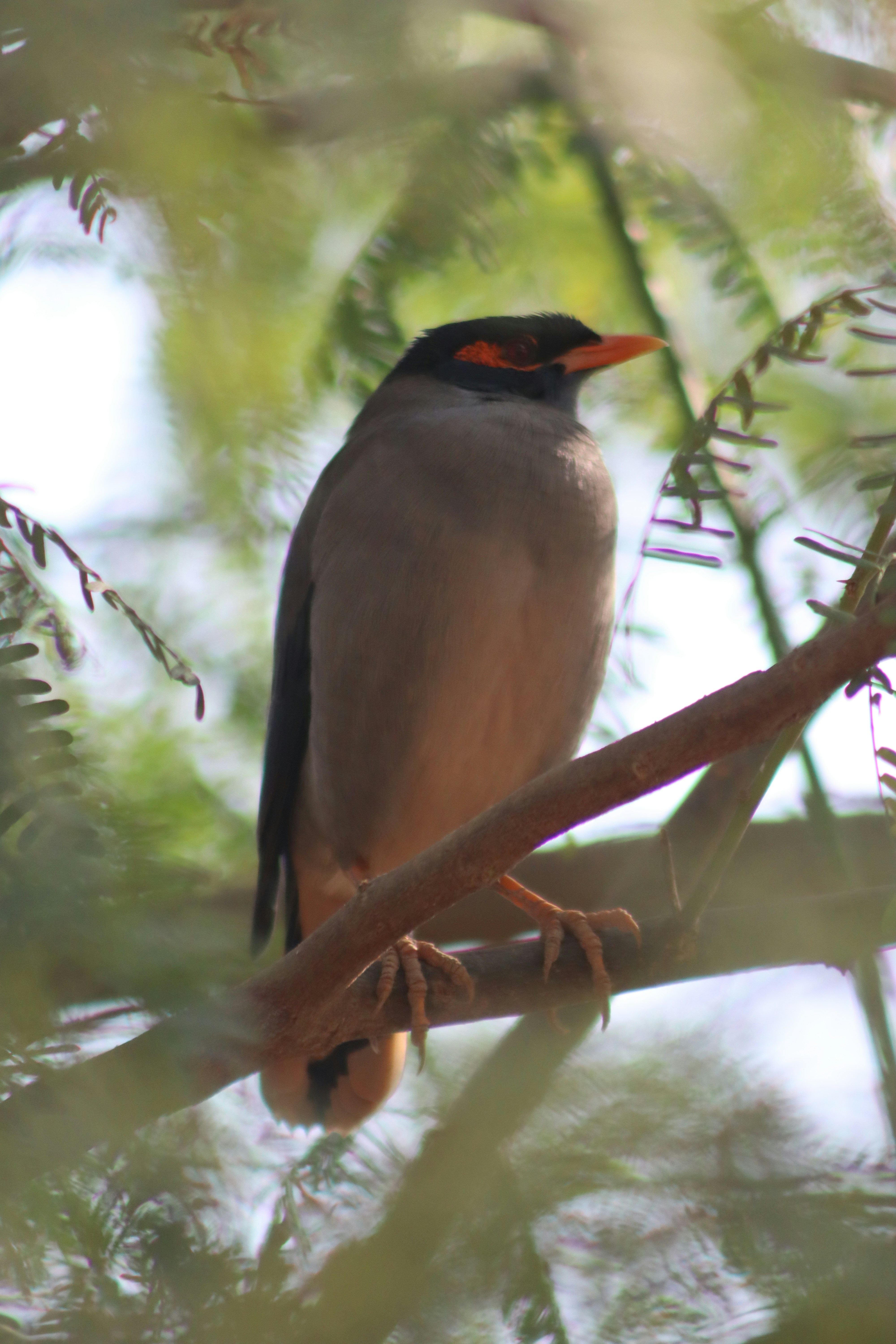 Photo by drphotographer152