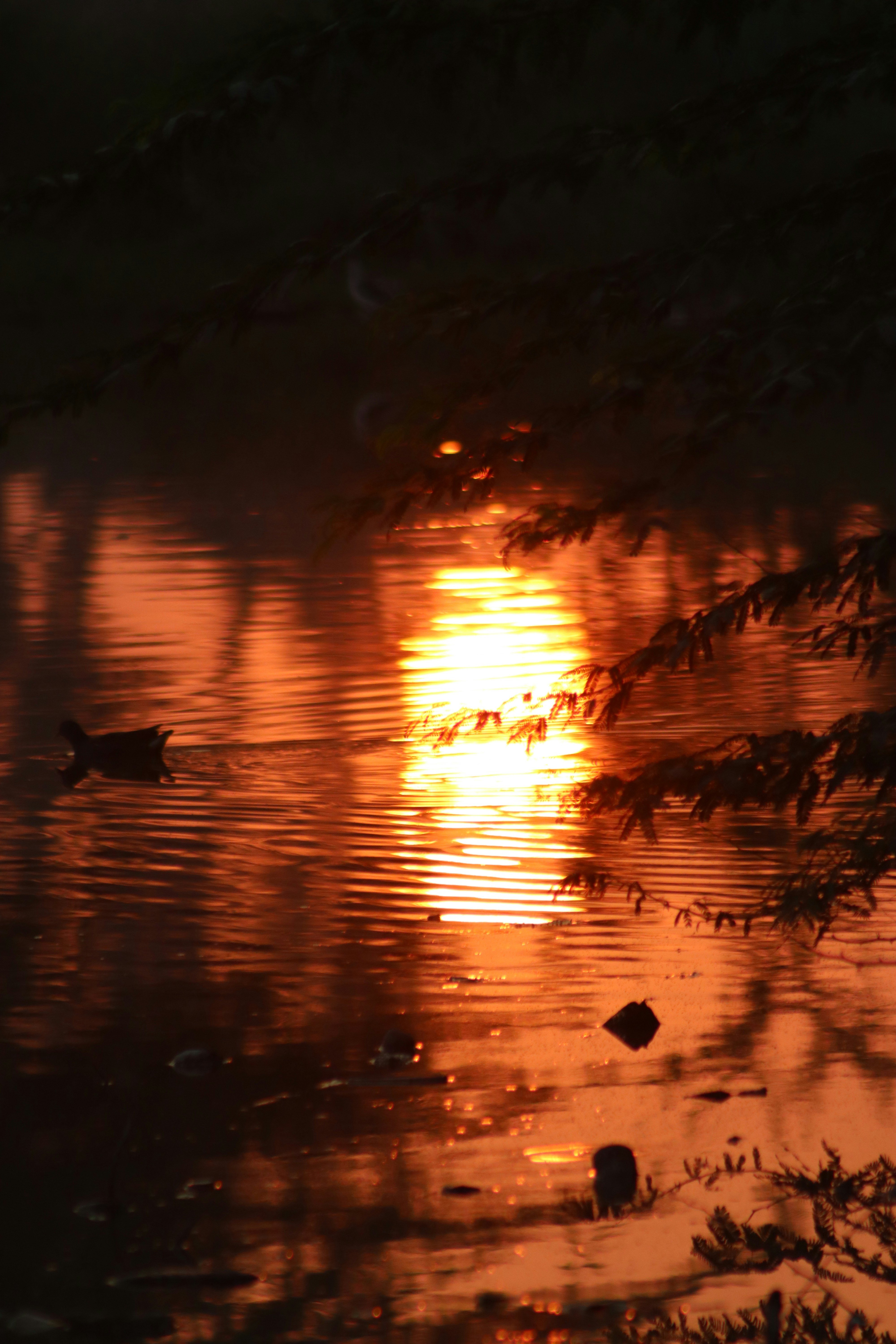 Photo by drphotographer152