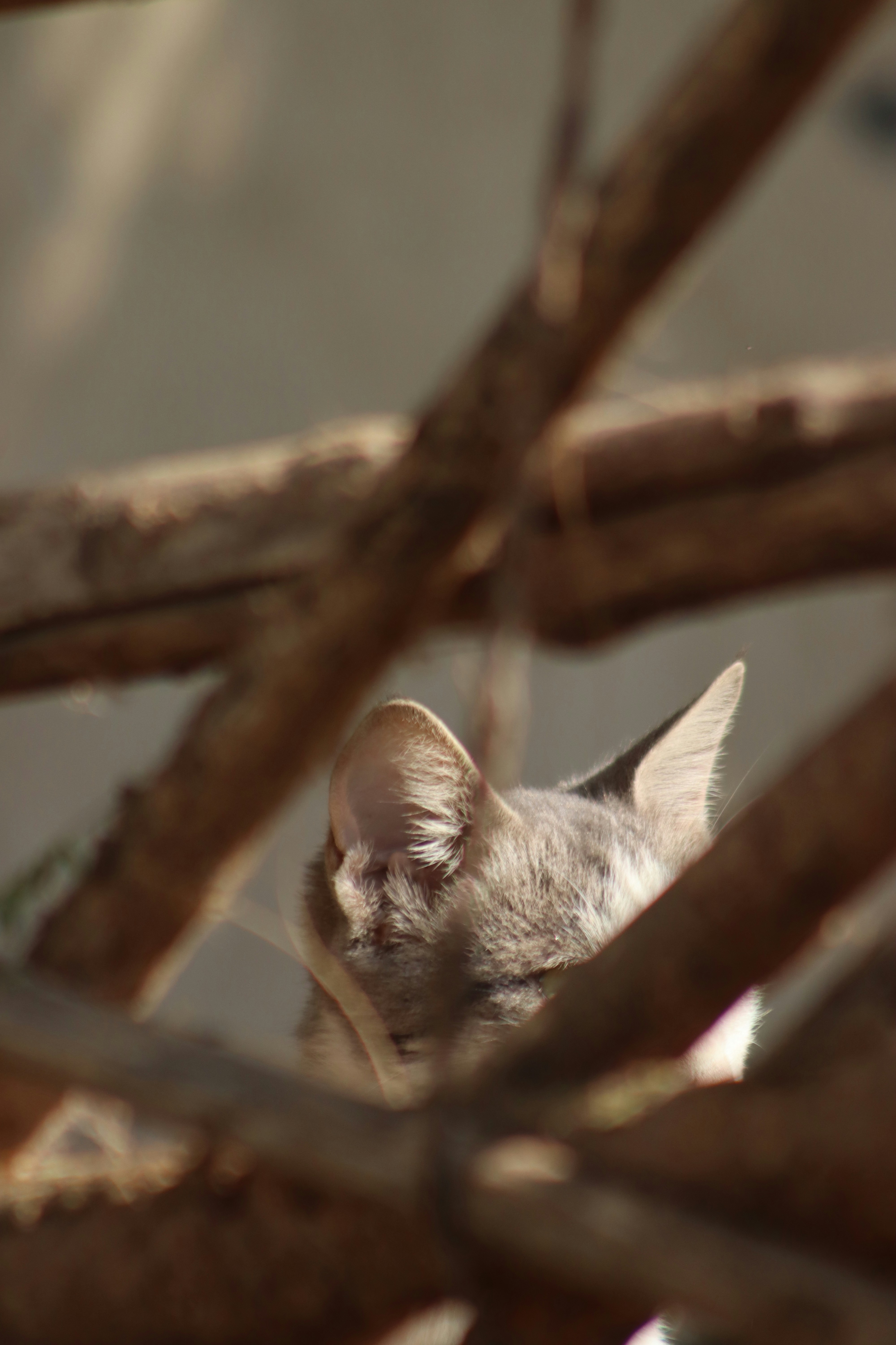 Photo by drphotographer152