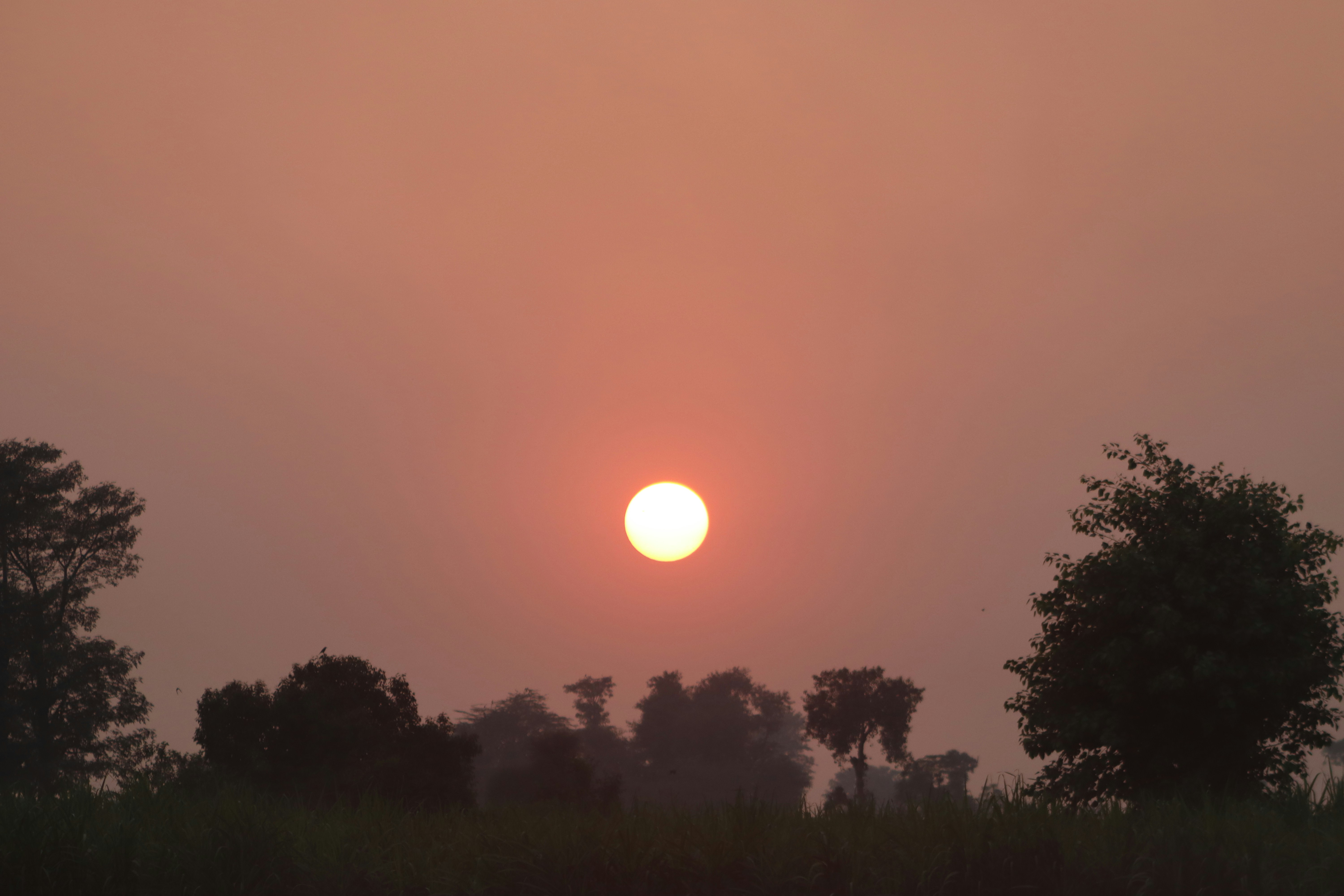 Photo by drphotographer152