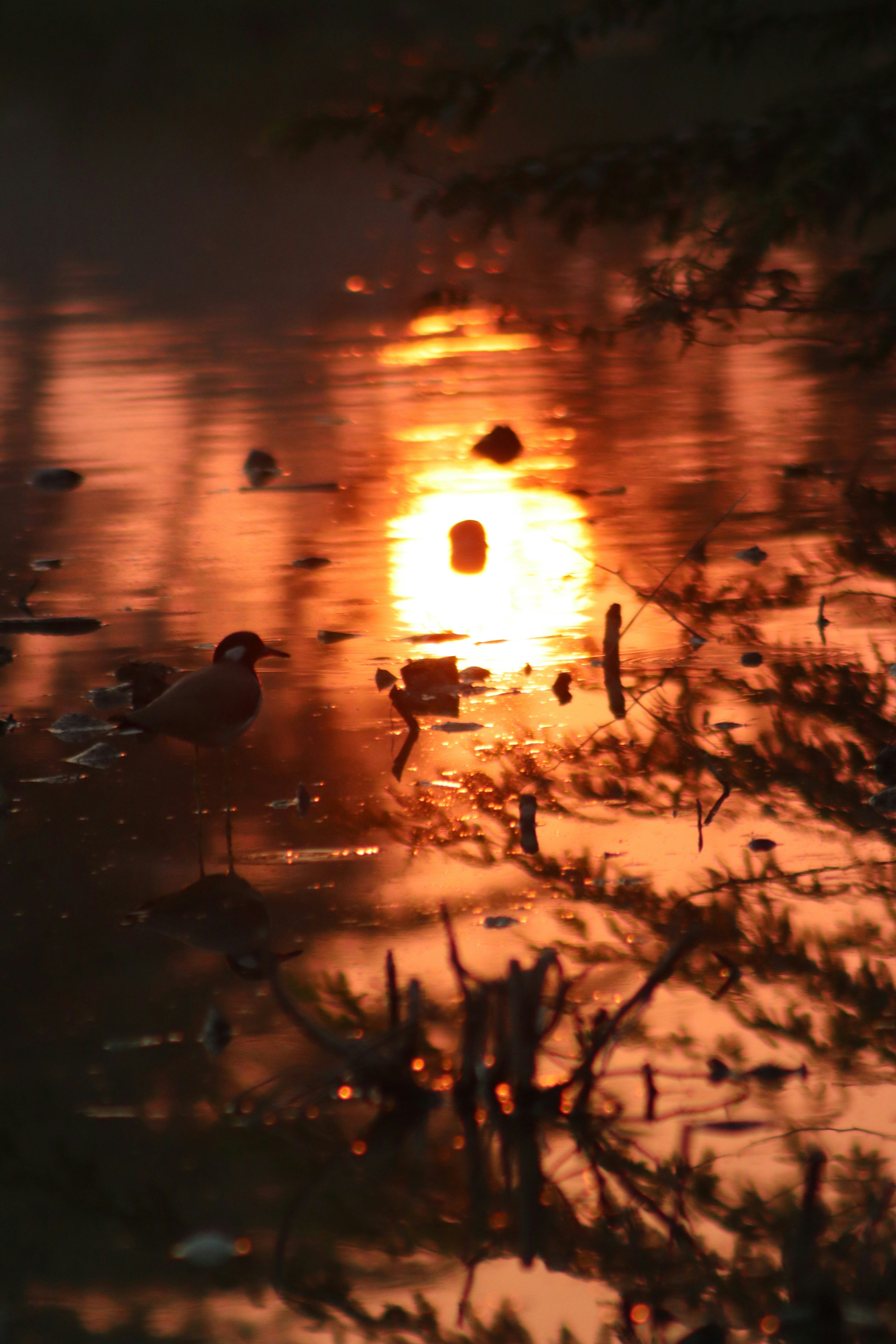 Photo by drphotographer152