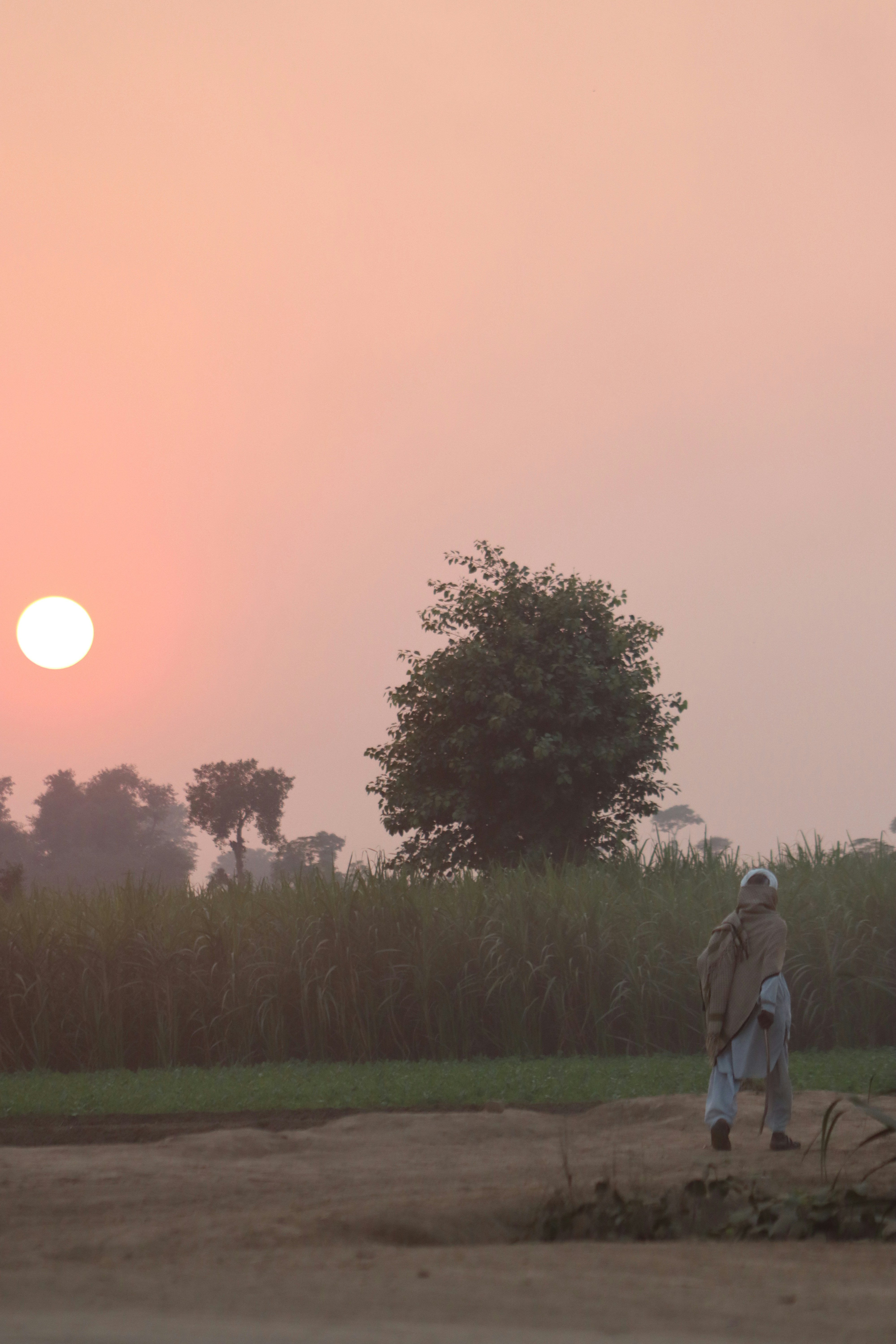 Photo by drphotographer152