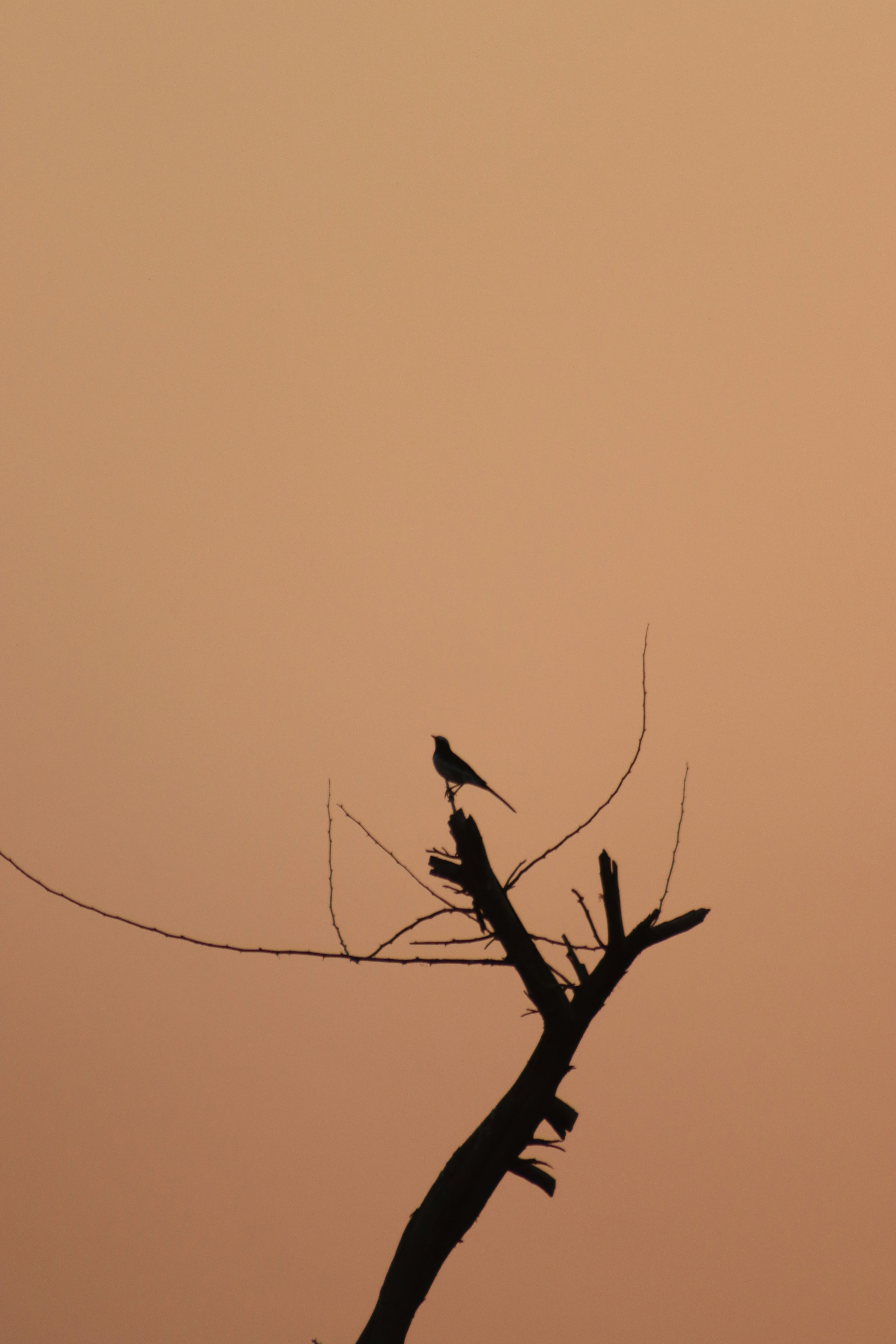 Photo by drphotographer152