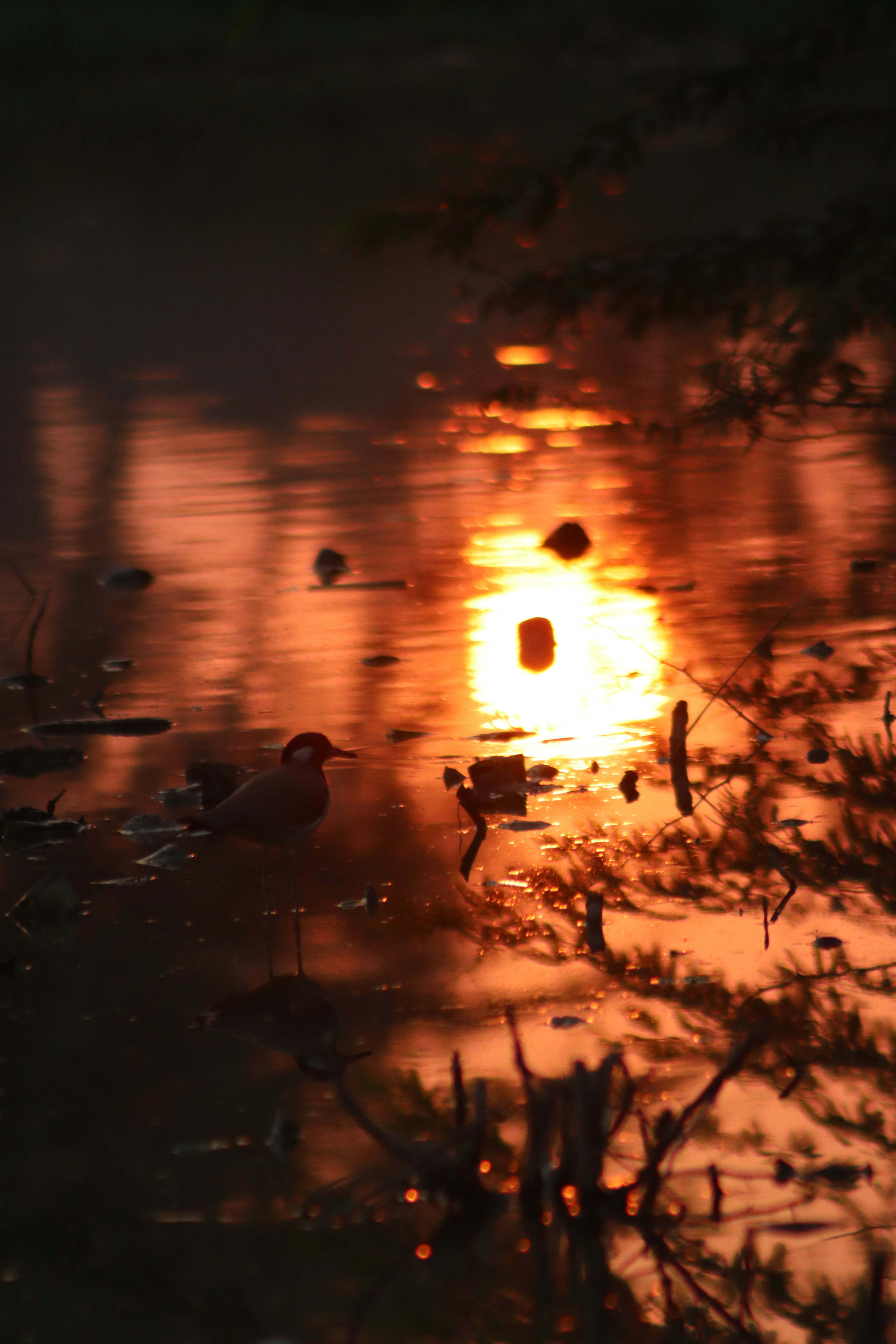 Photo by drphotographer152