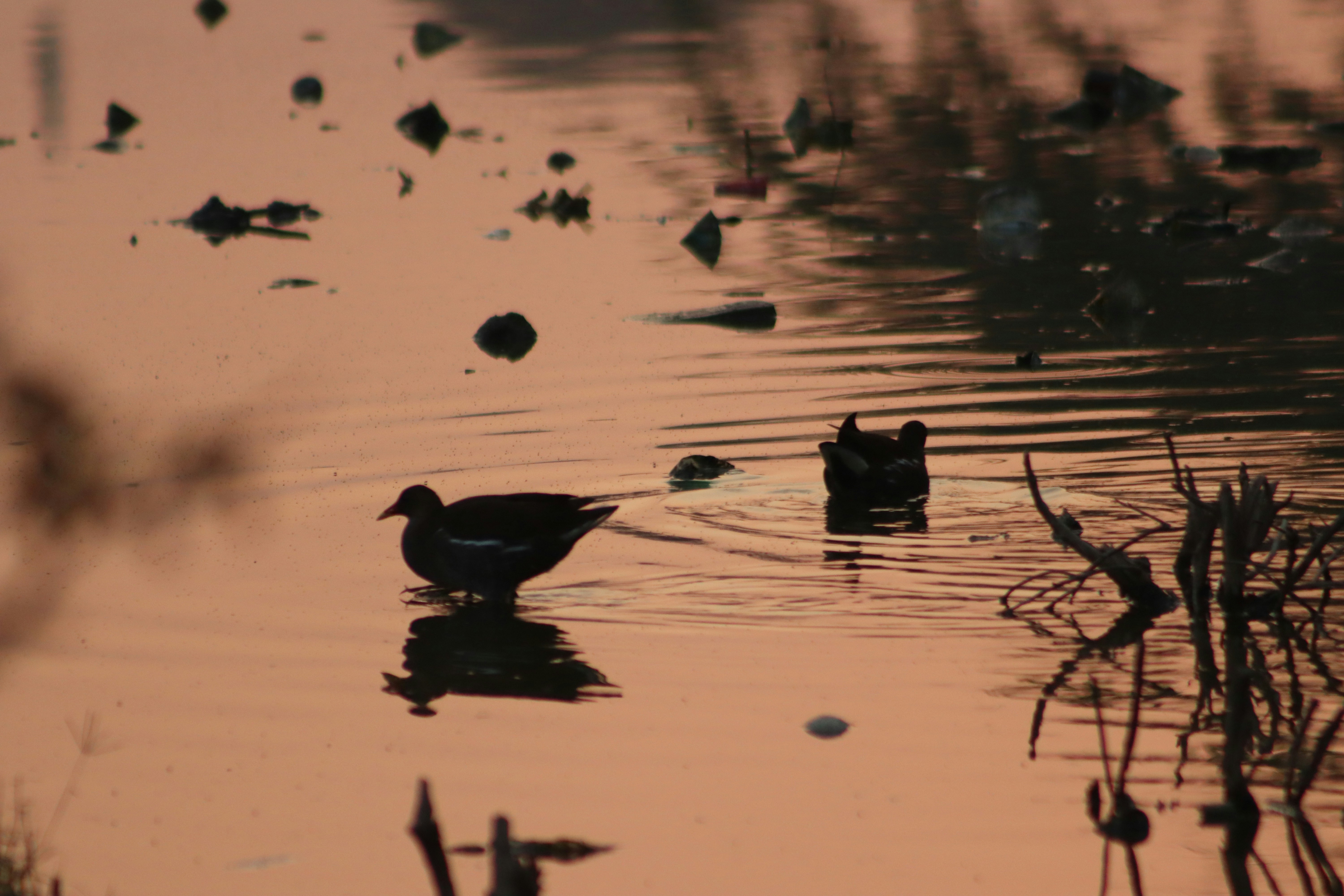 Photo by drphotographer152