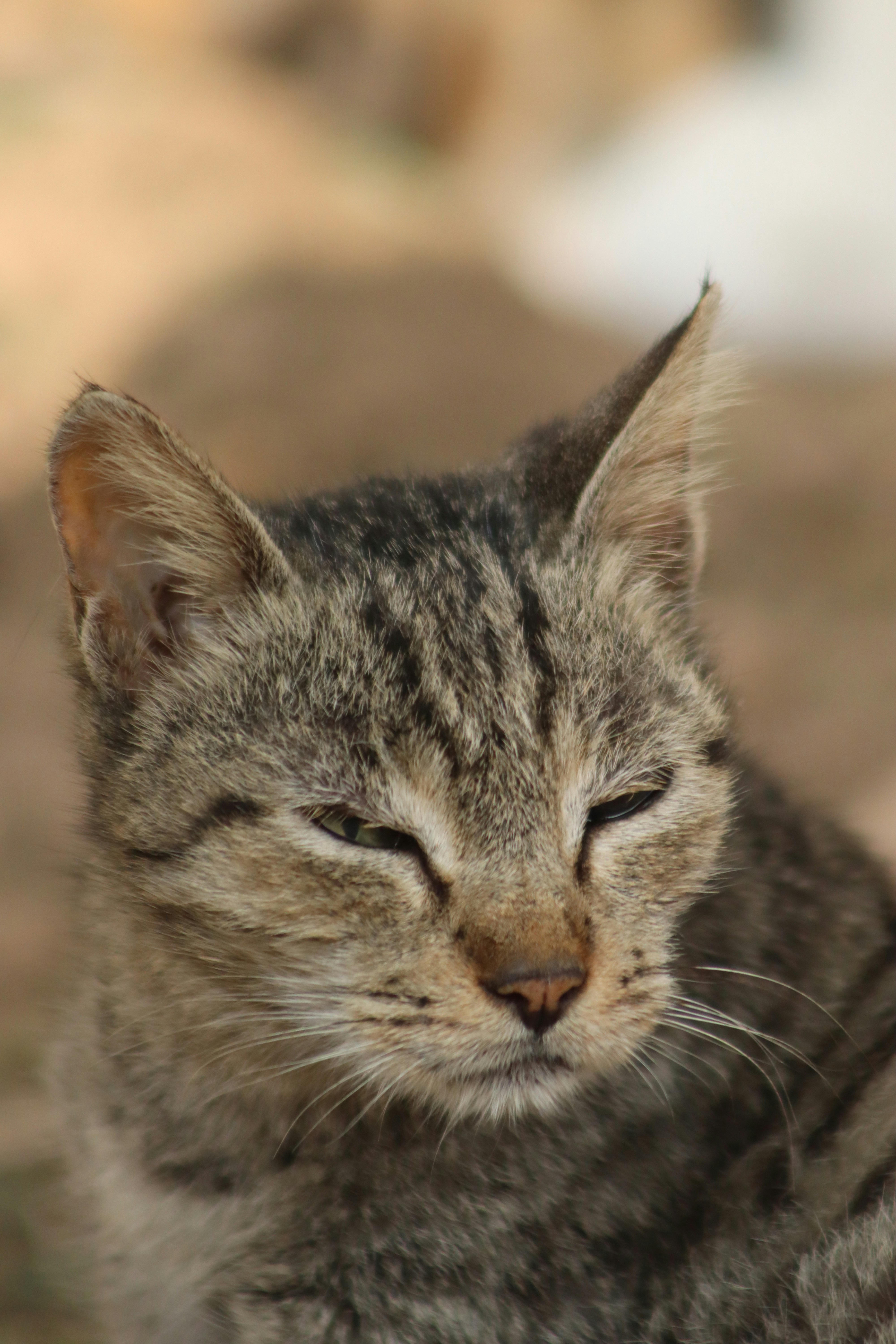 Photo by drphotographer152