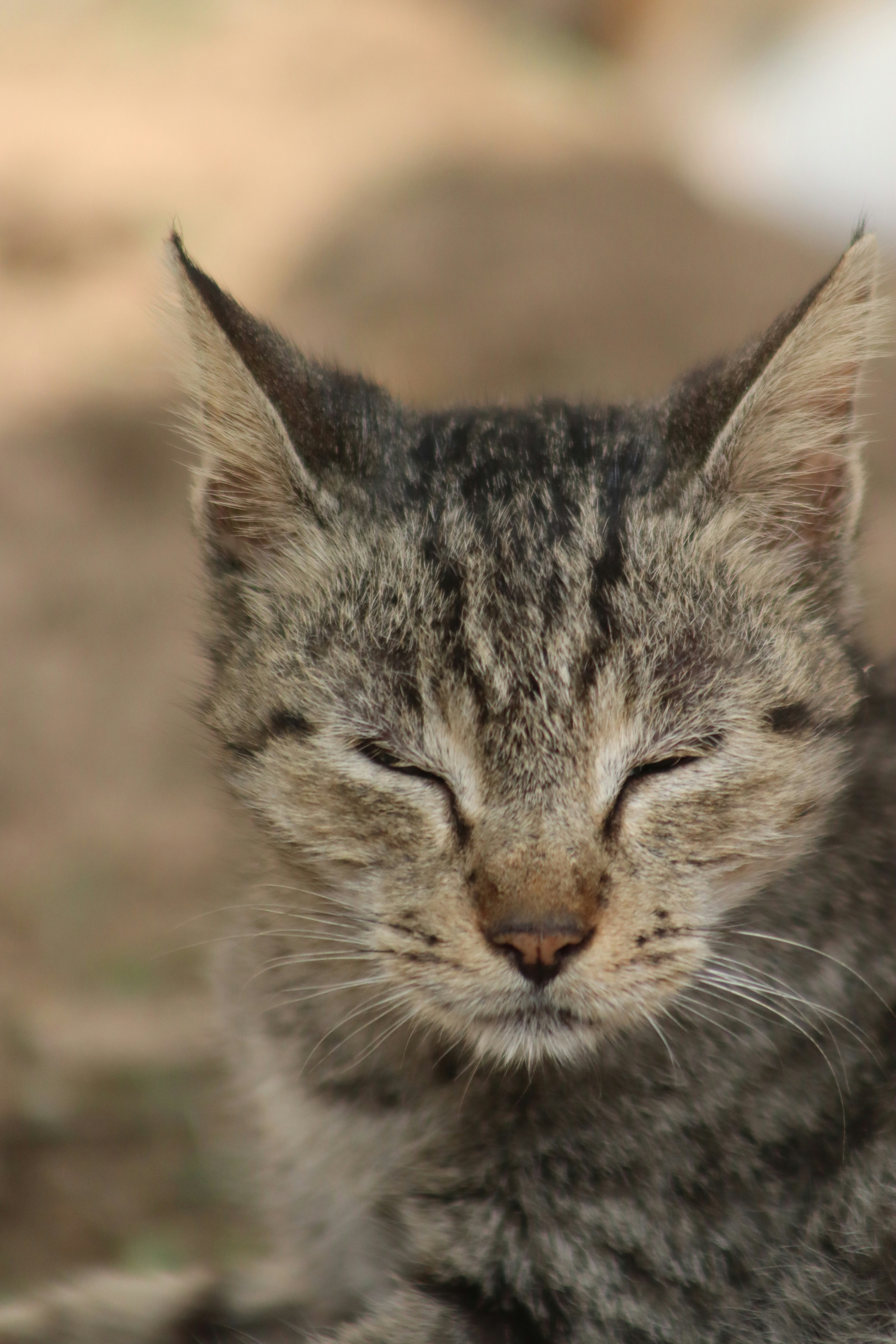 Photo by drphotographer152