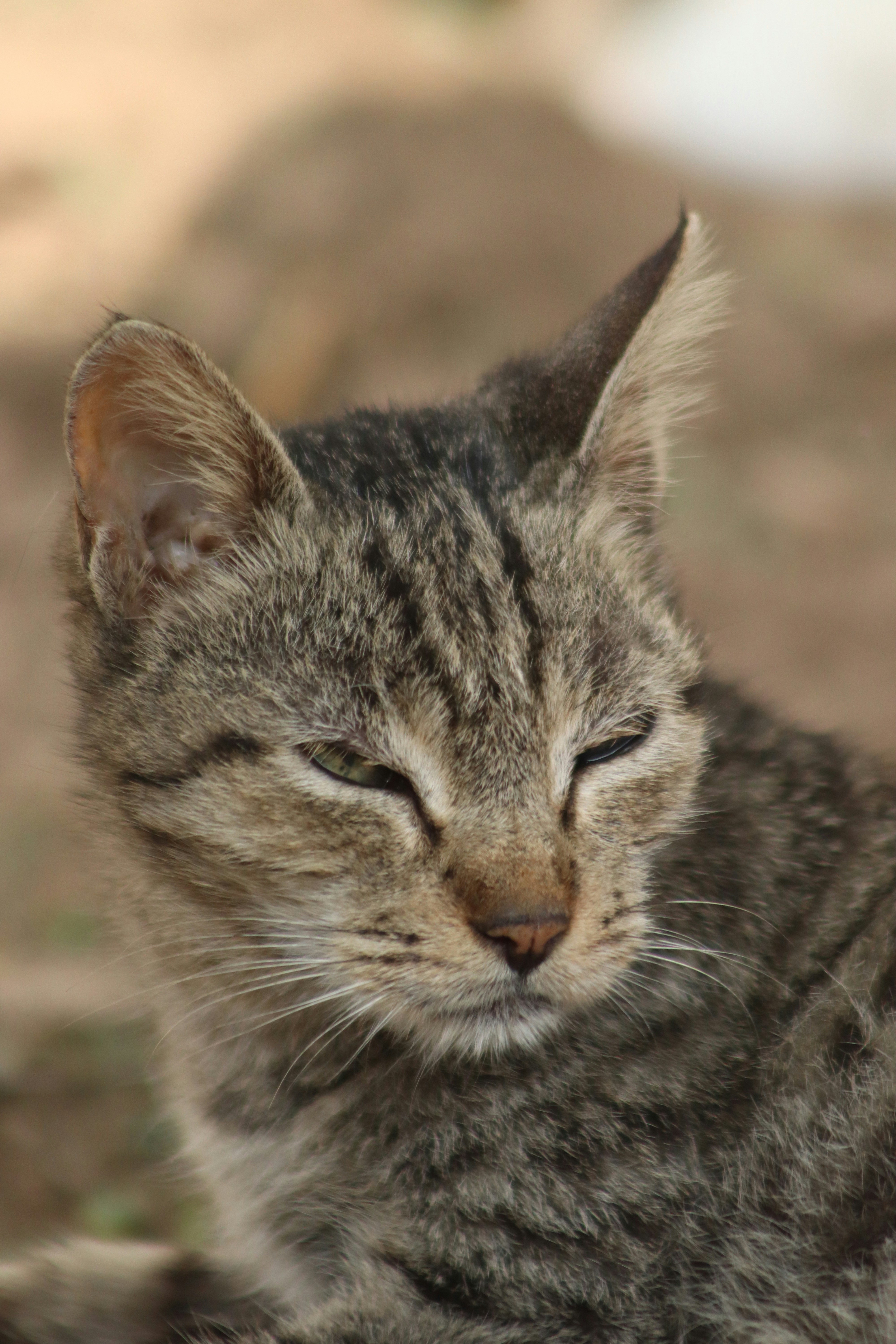 Photo by drphotographer152