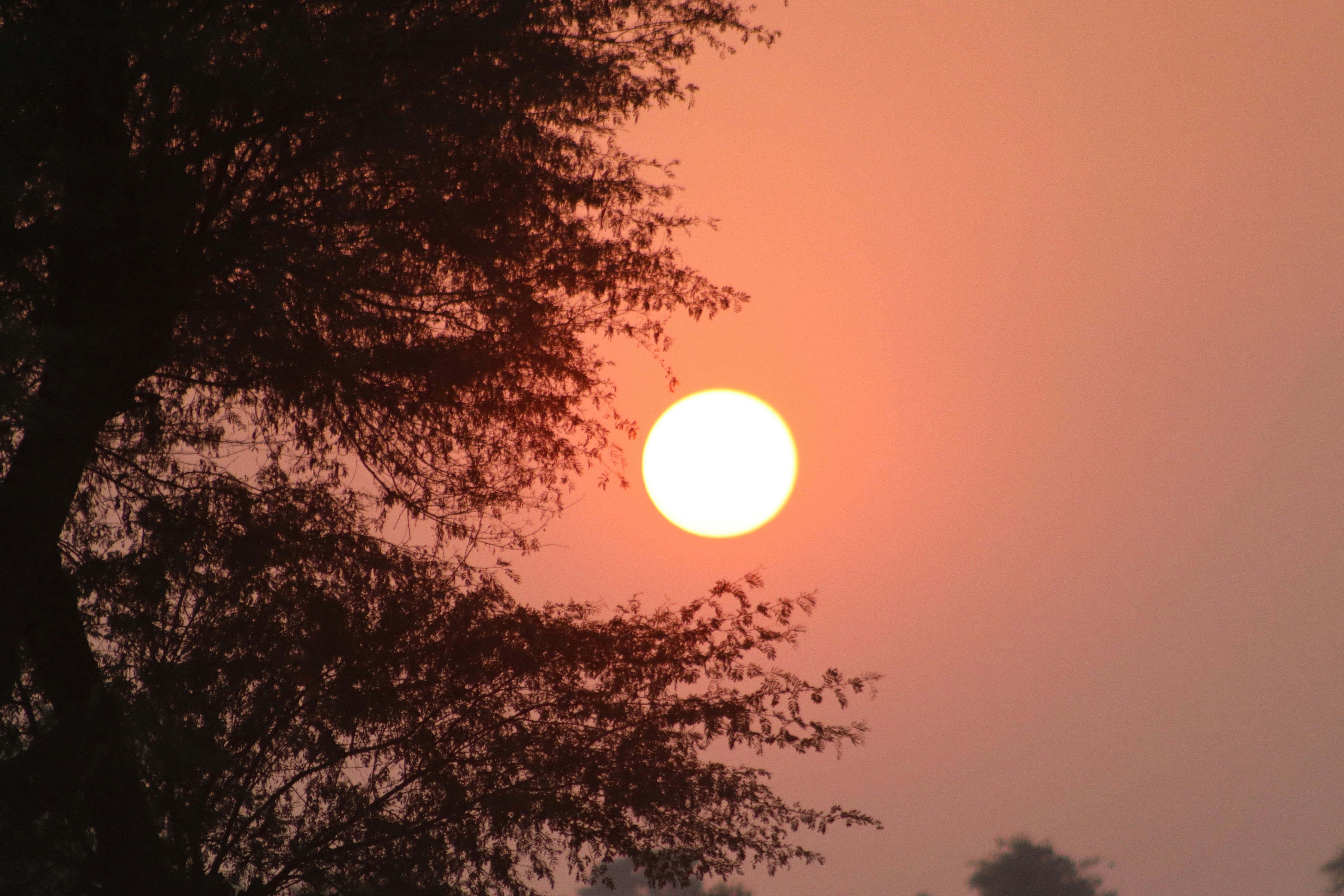 Photo by drphotographer152