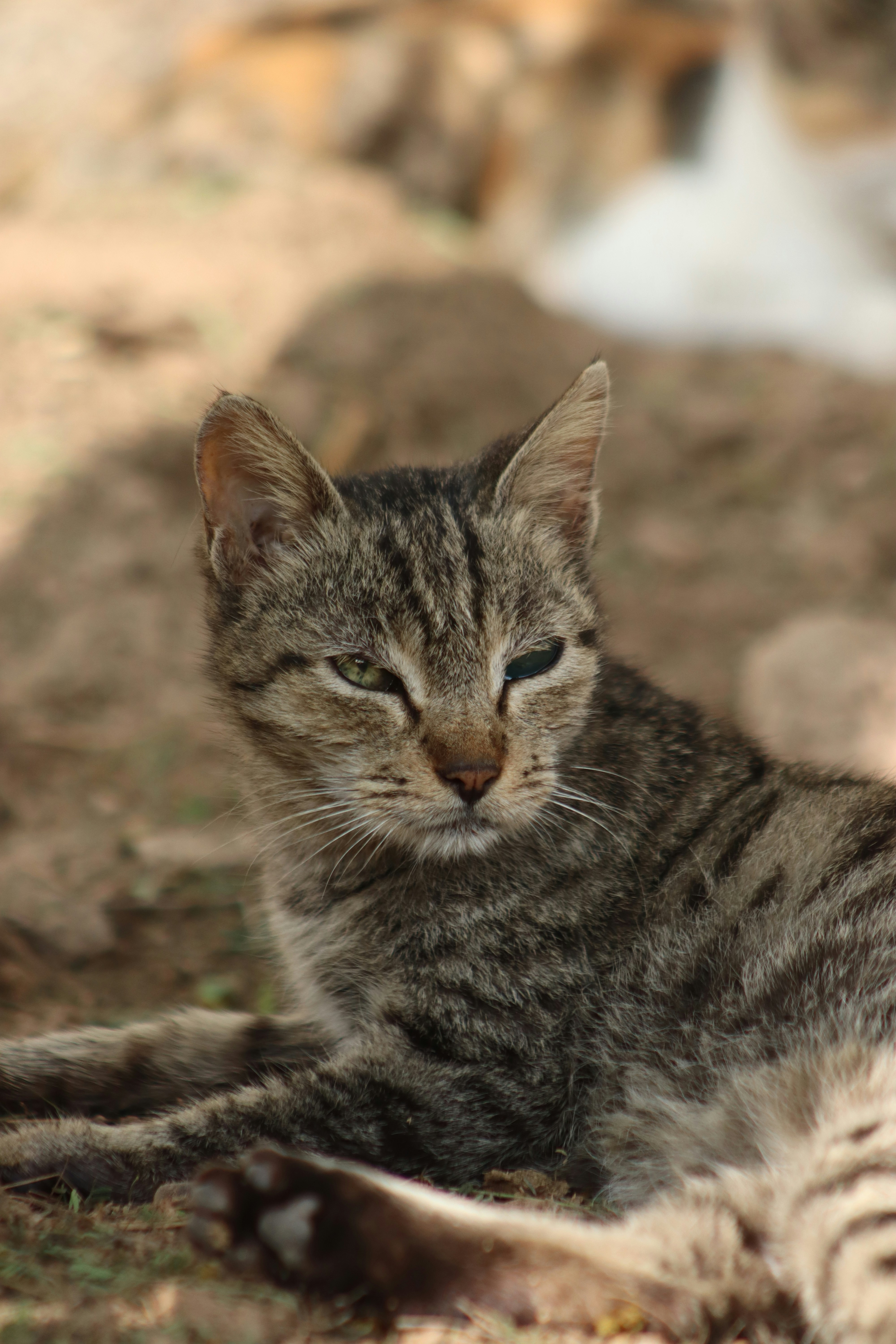 Photo by drphotographer152